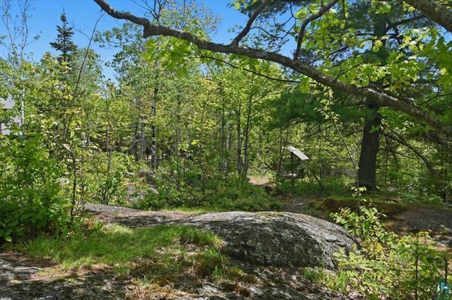 main property photo 84