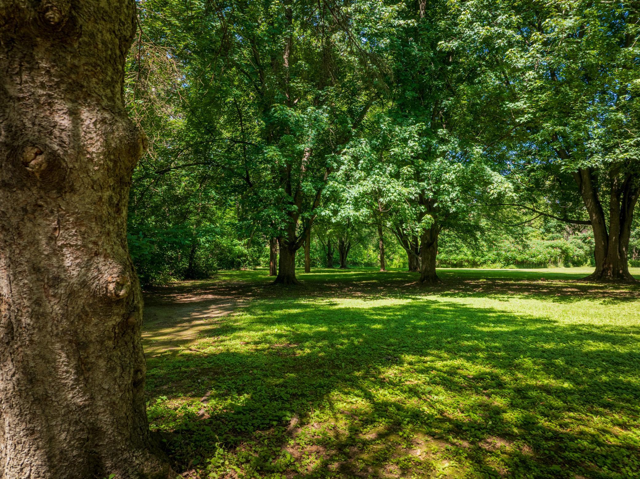 main property photo 77