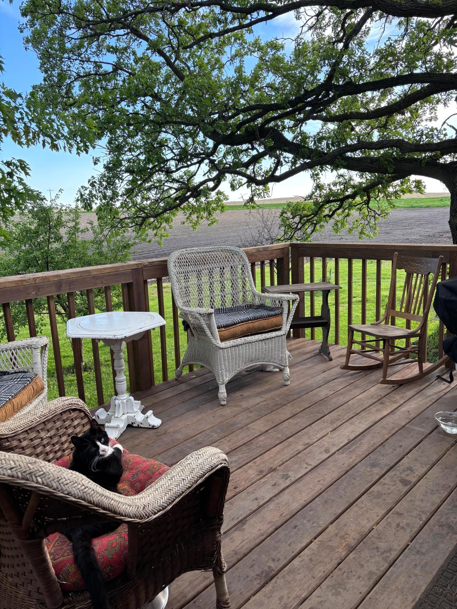 main property photo 27