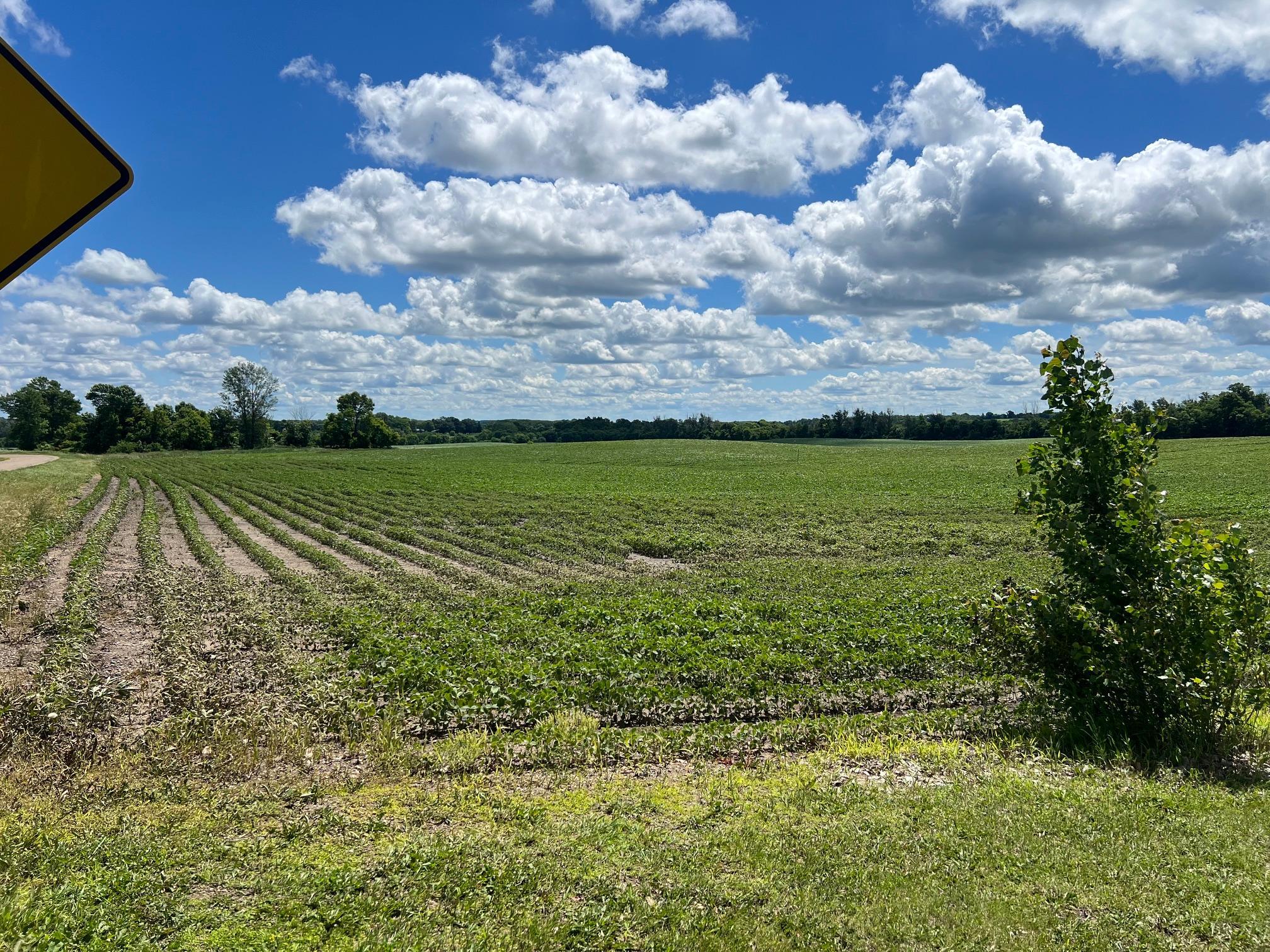 main property photo 65