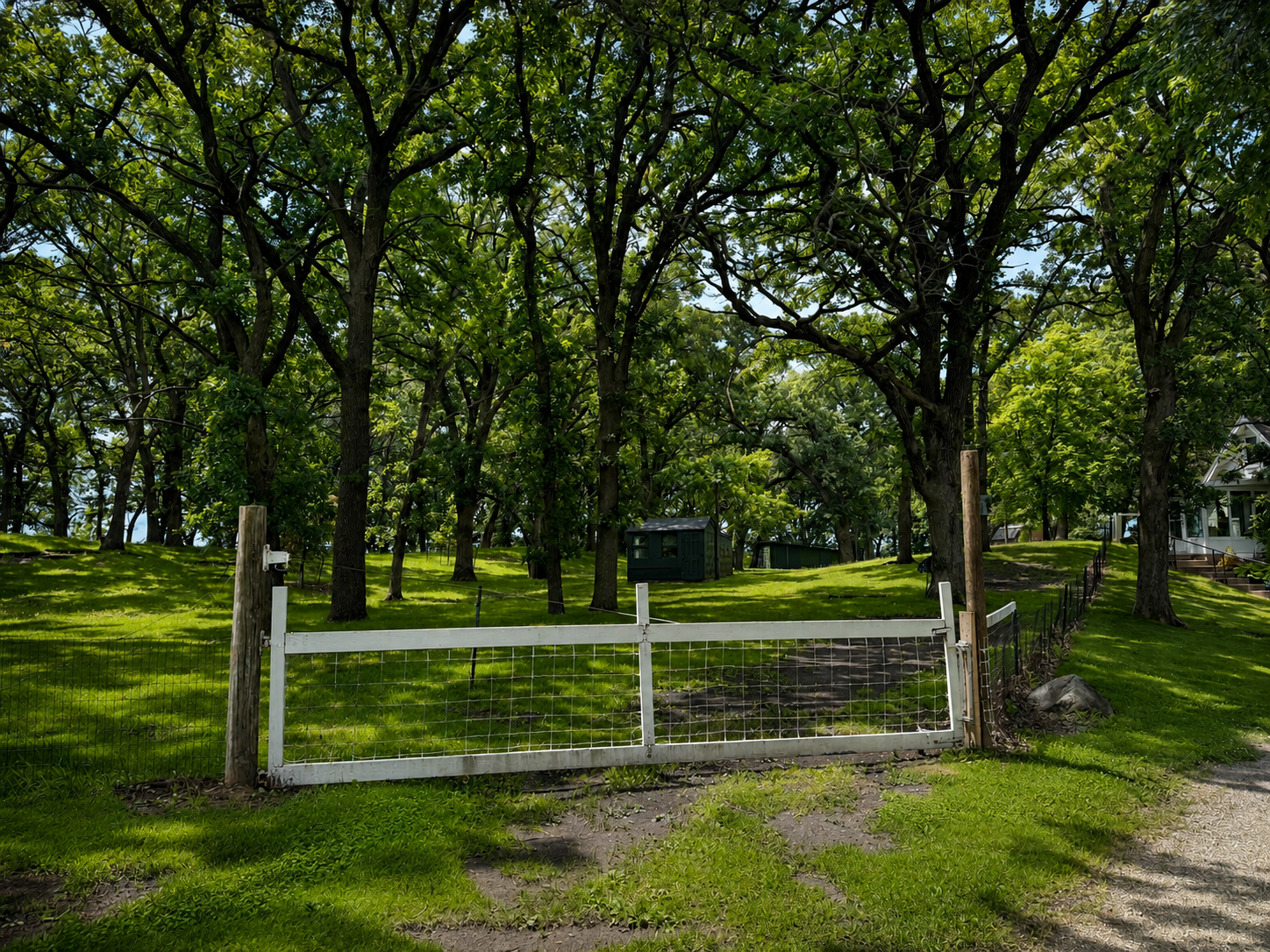 main property photo 24