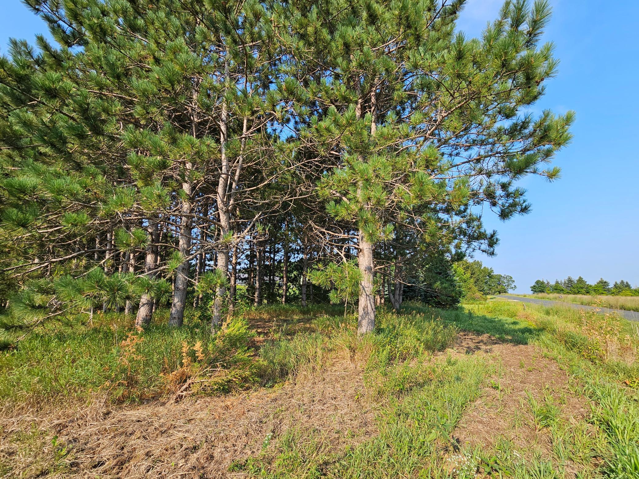 main property photo 6