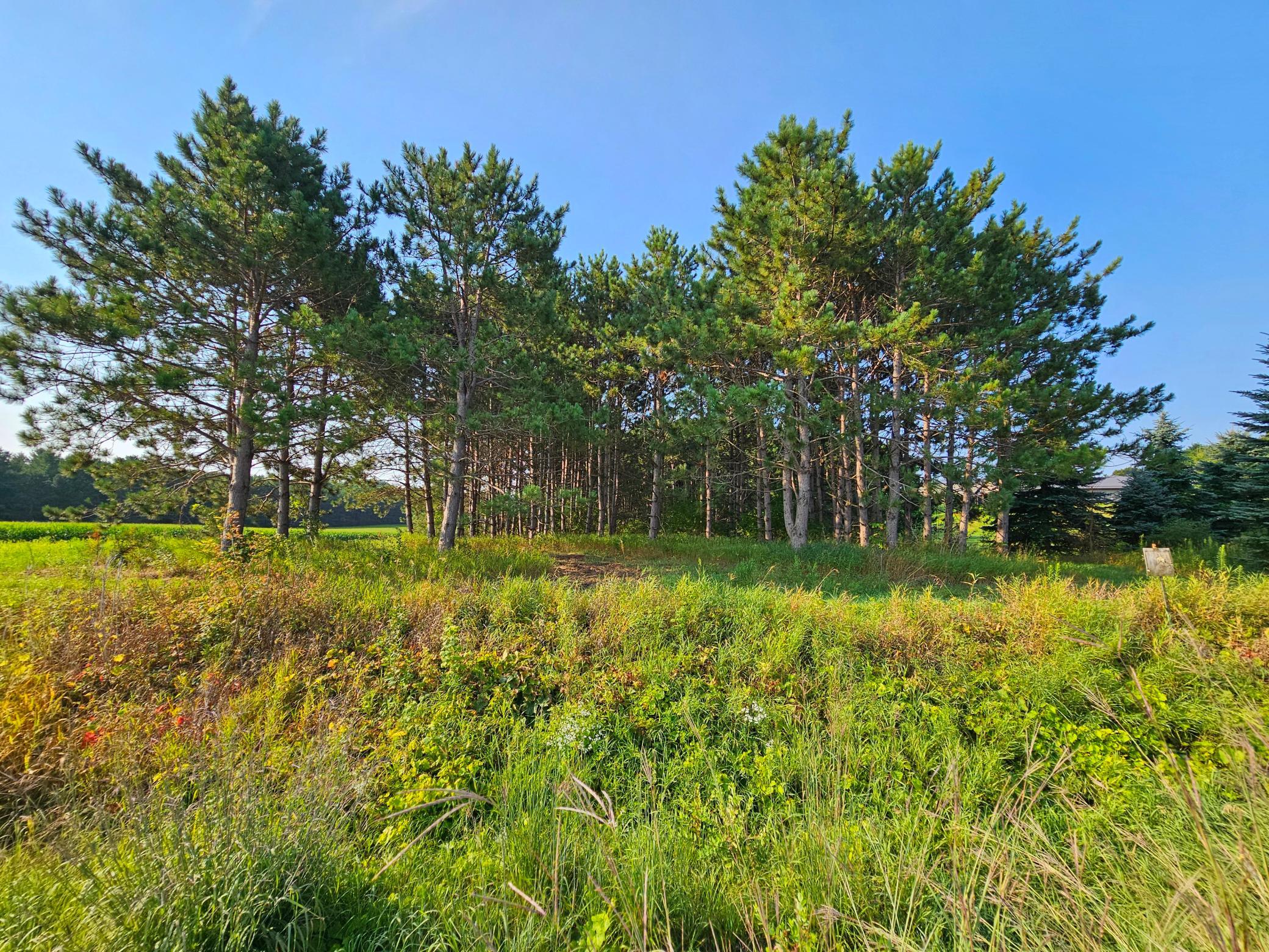 main property photo 9