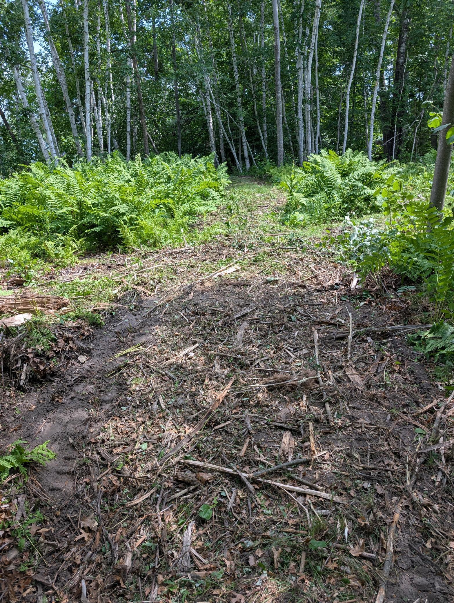 main property photo 8