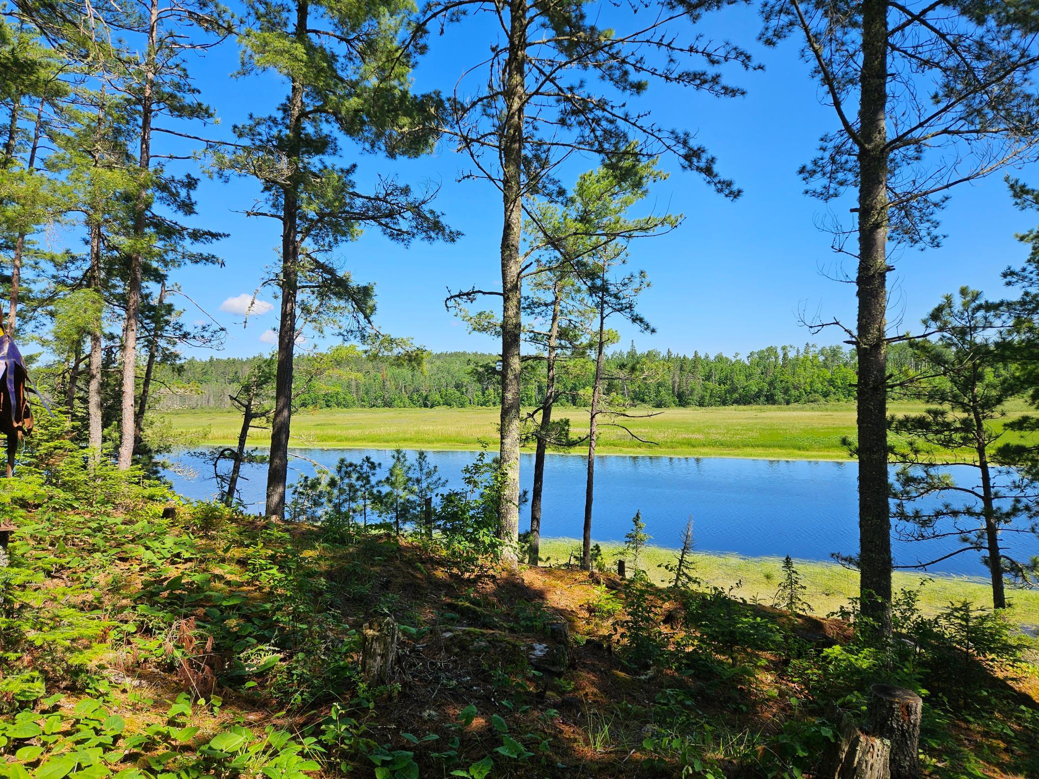 main property photo 39