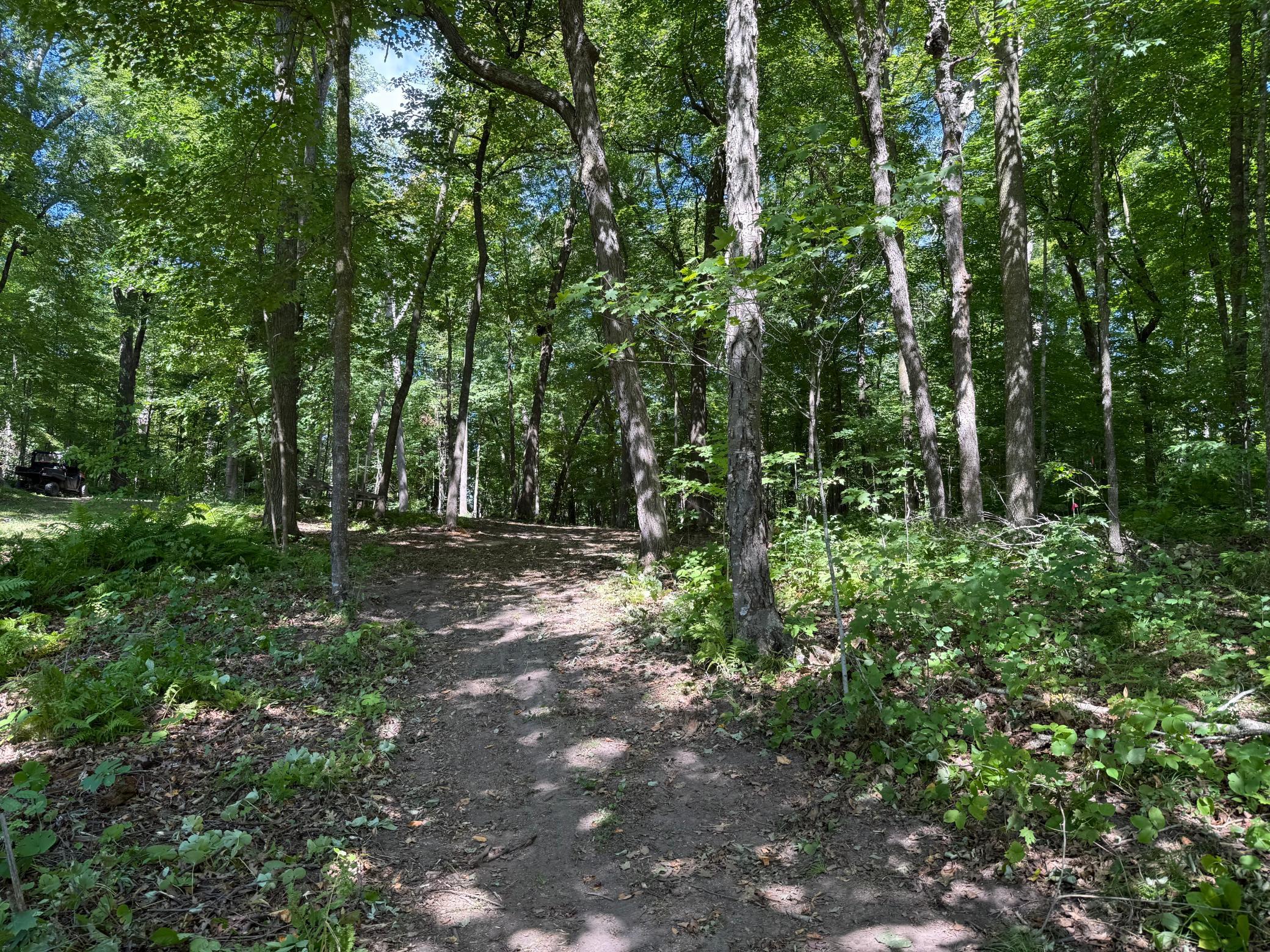 main property photo 8