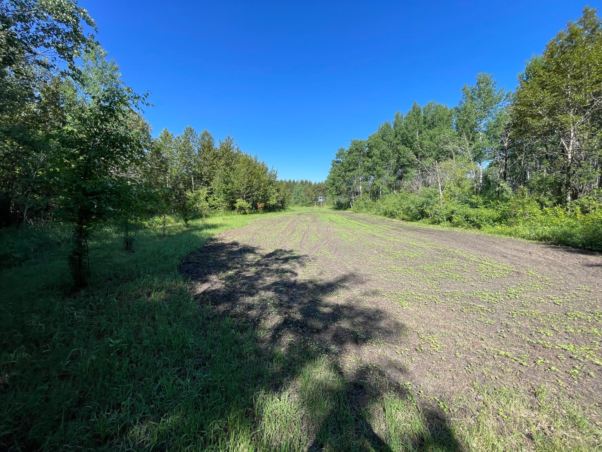 main property photo 34