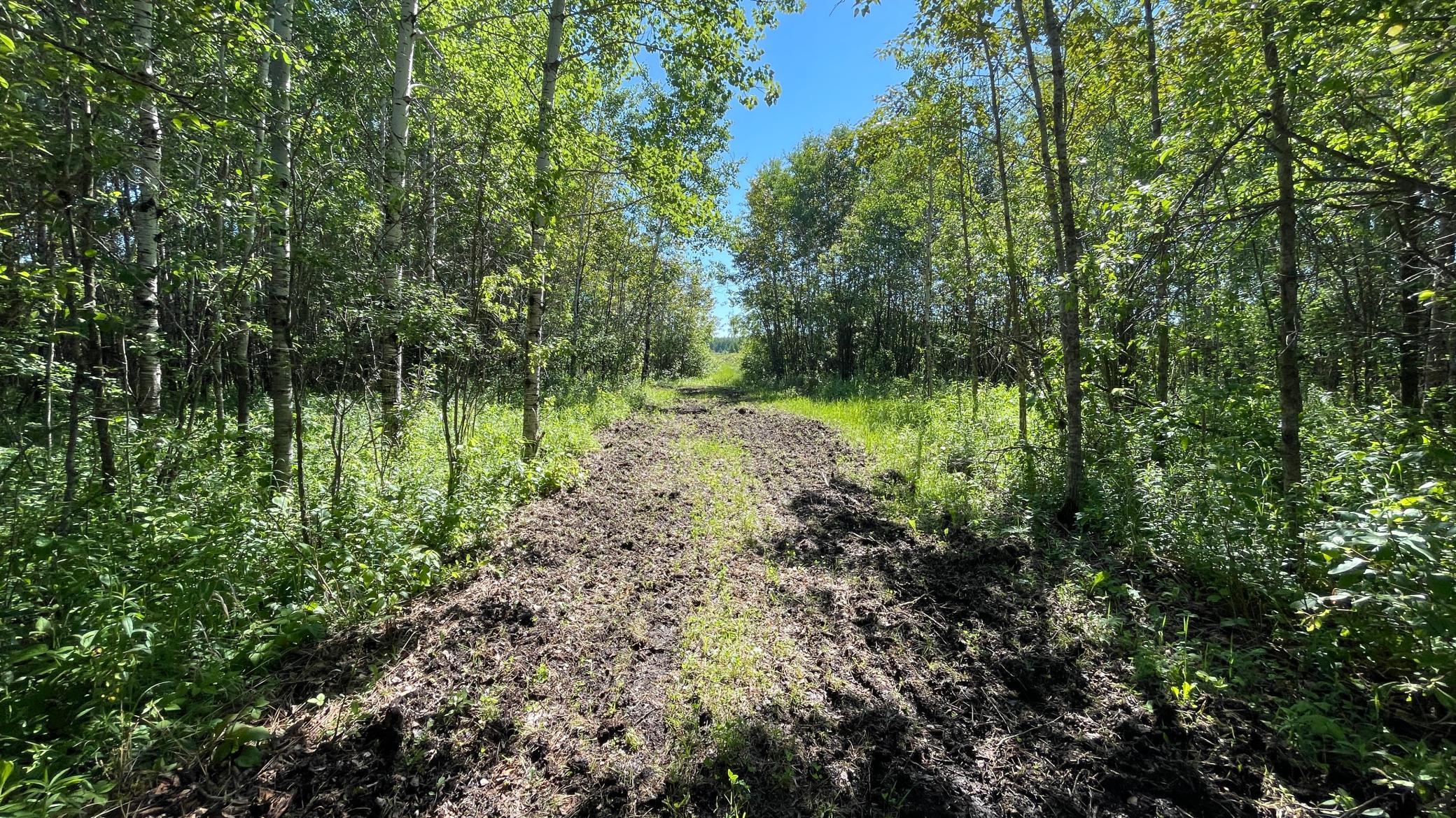main property photo 47
