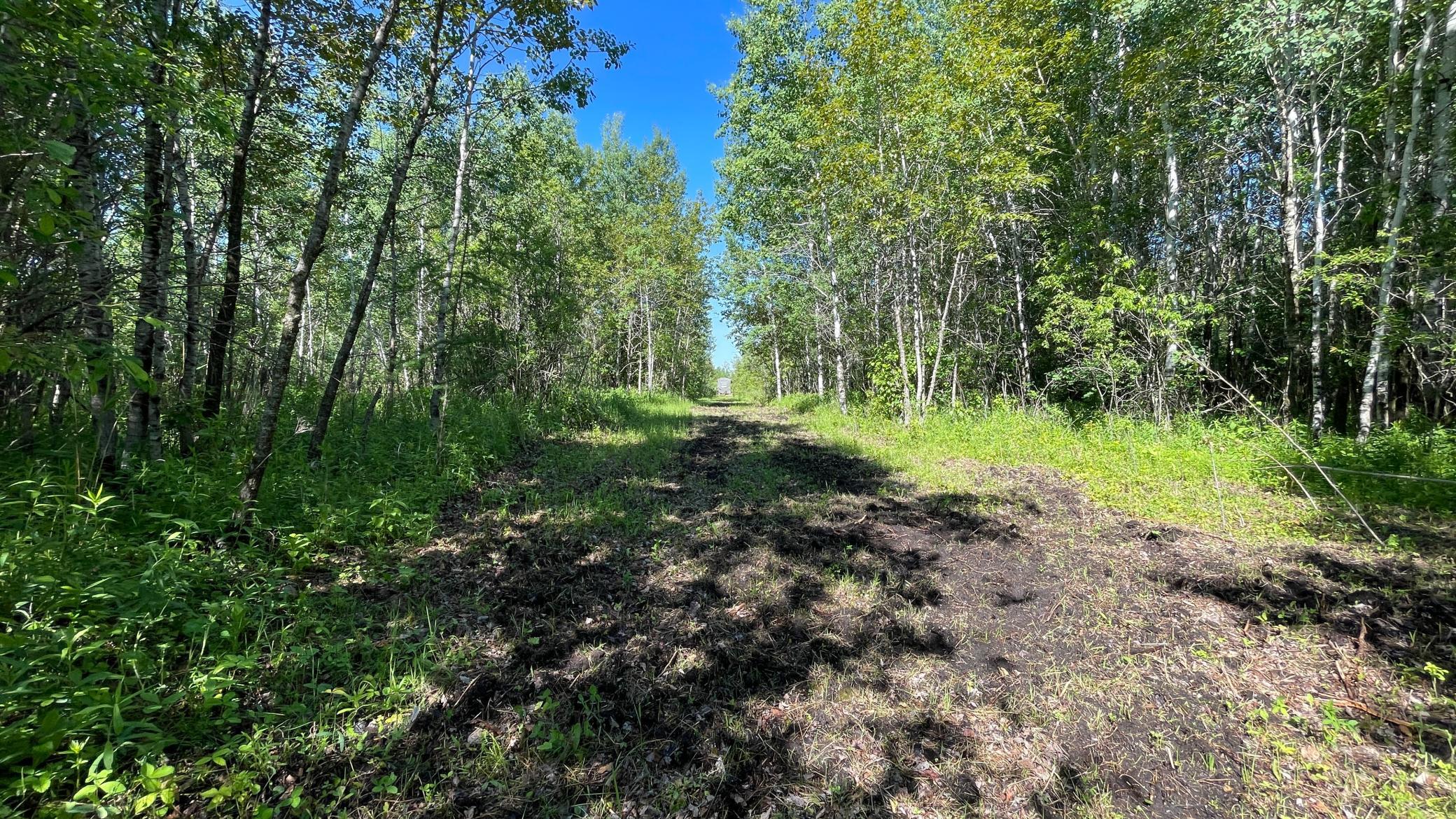 main property photo 49