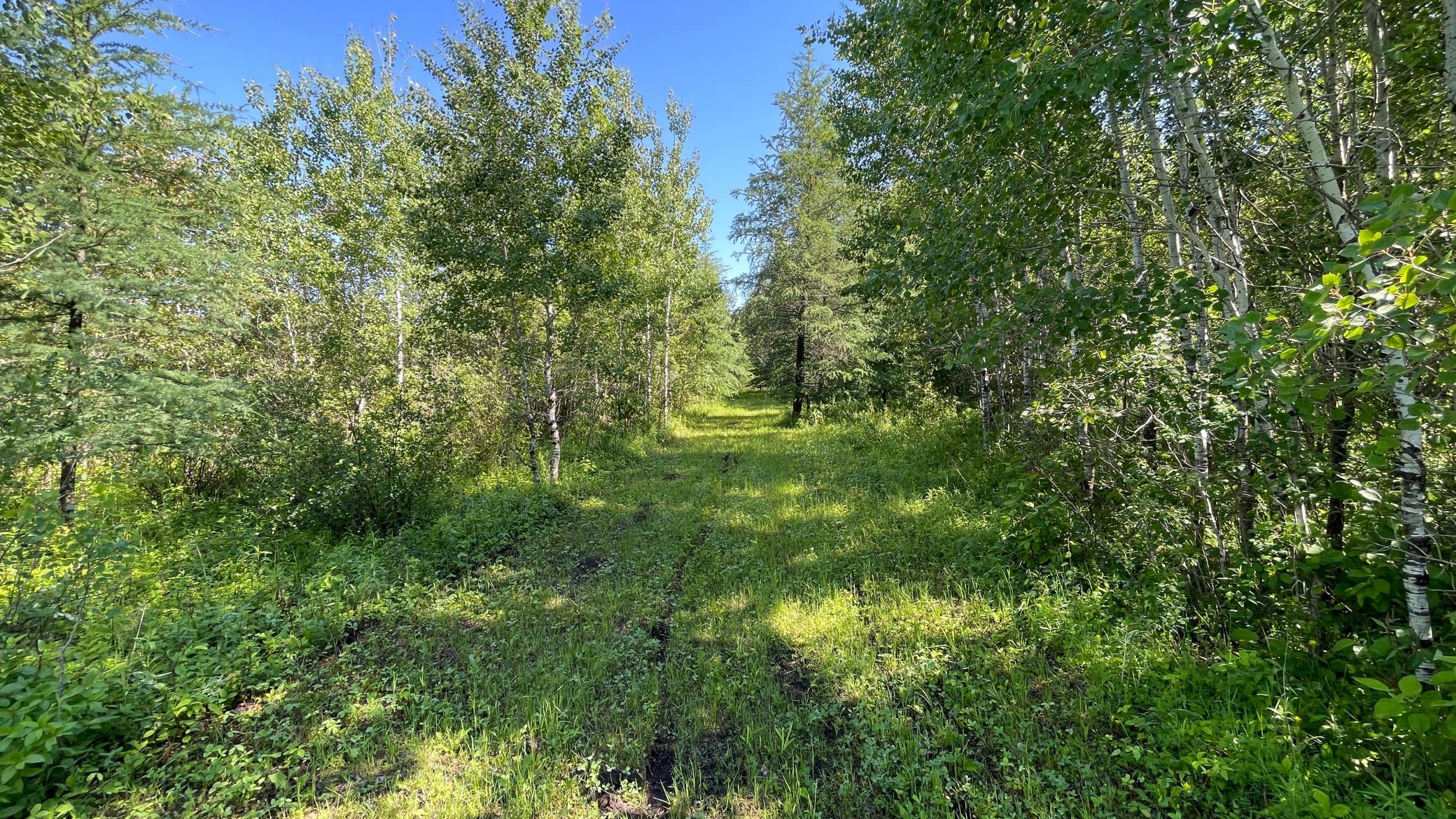 main property photo 52