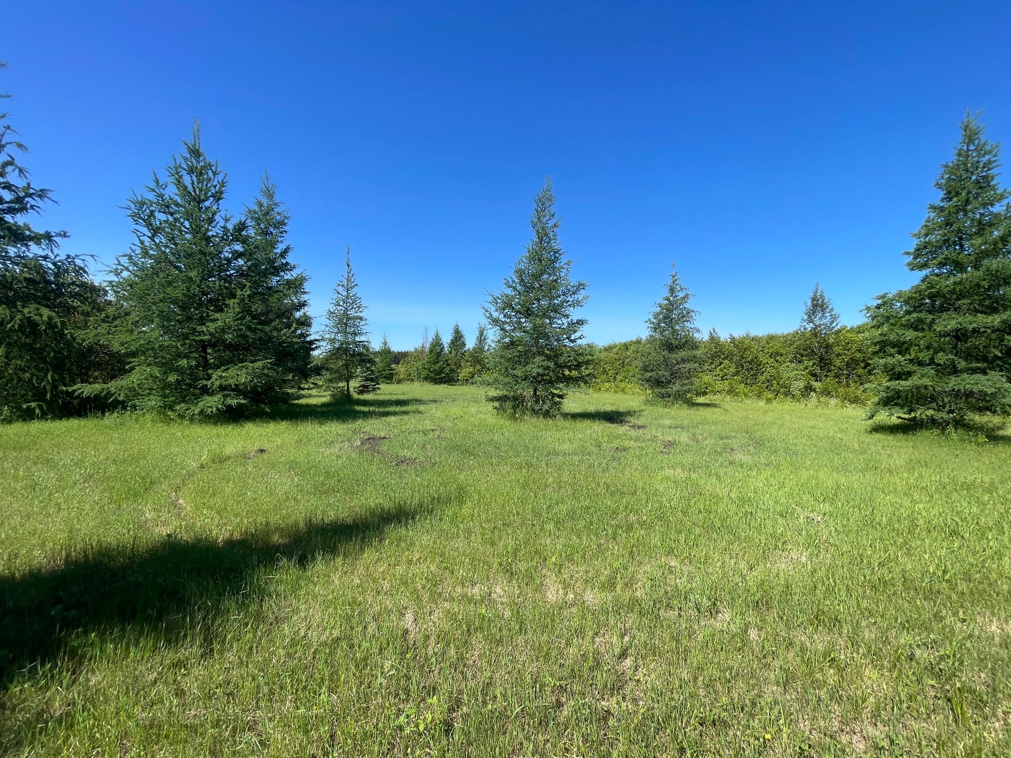 main property photo 59