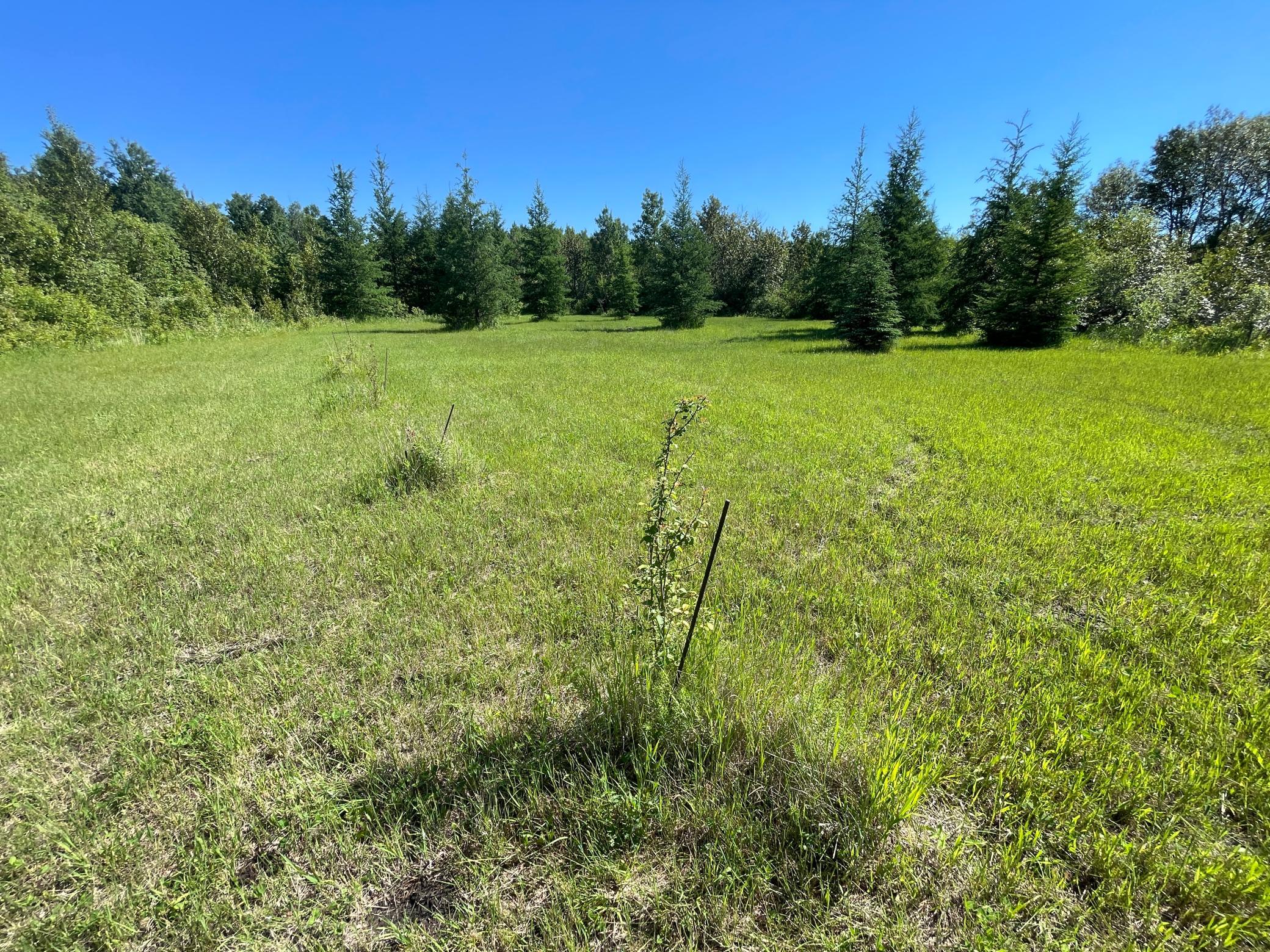 main property photo 63