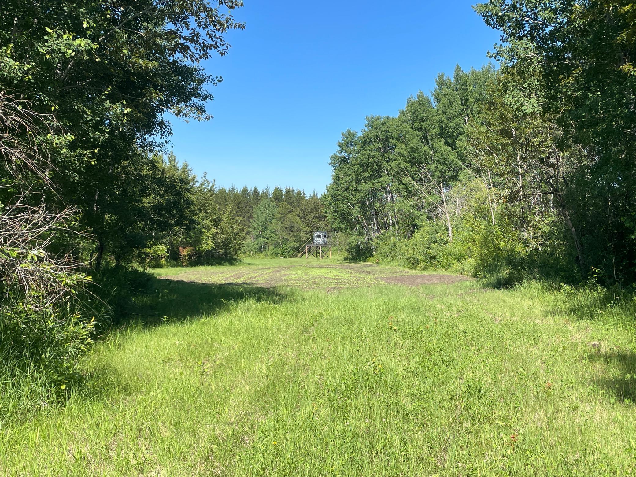 main property photo 65