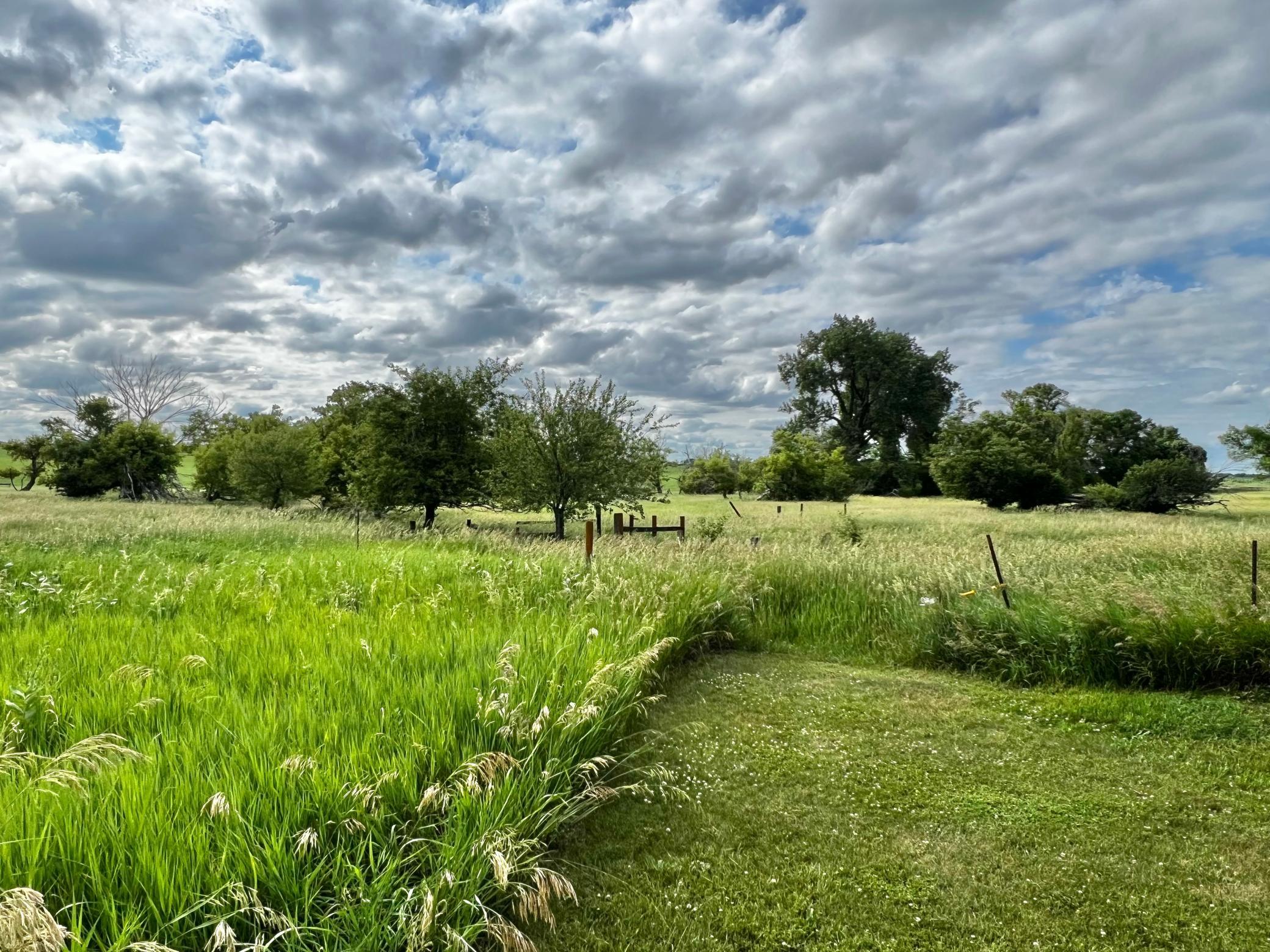 main property photo 49