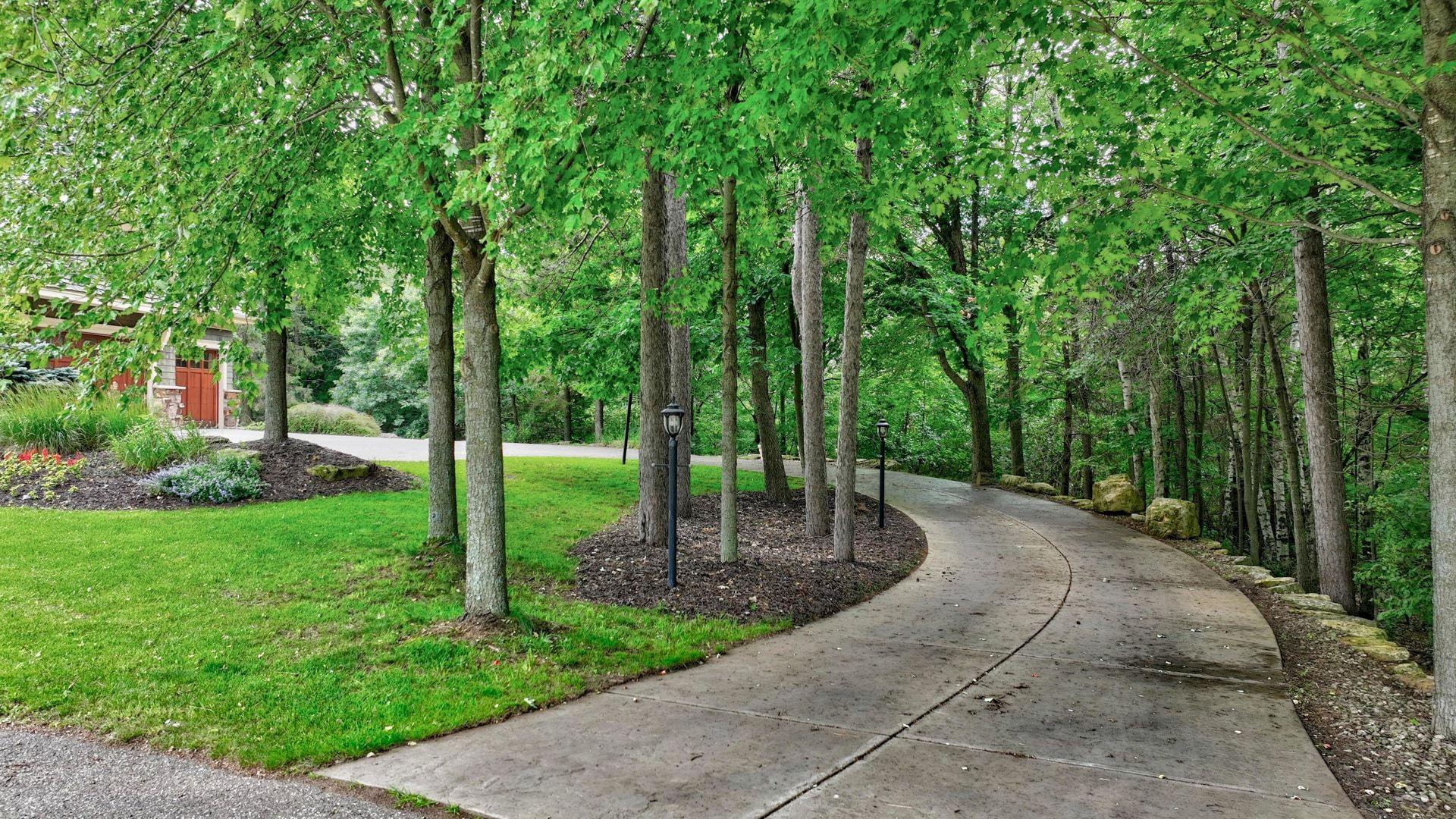 main property photo 54
