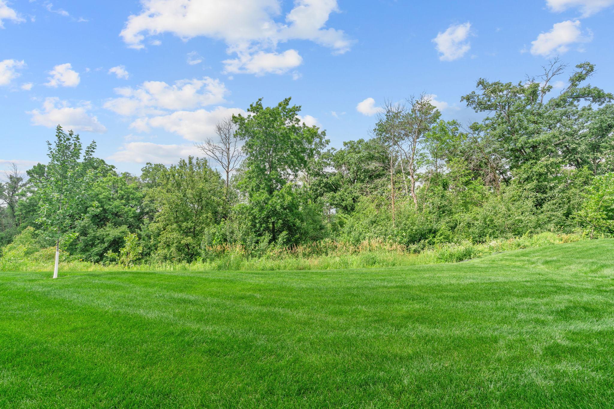 main property photo 61