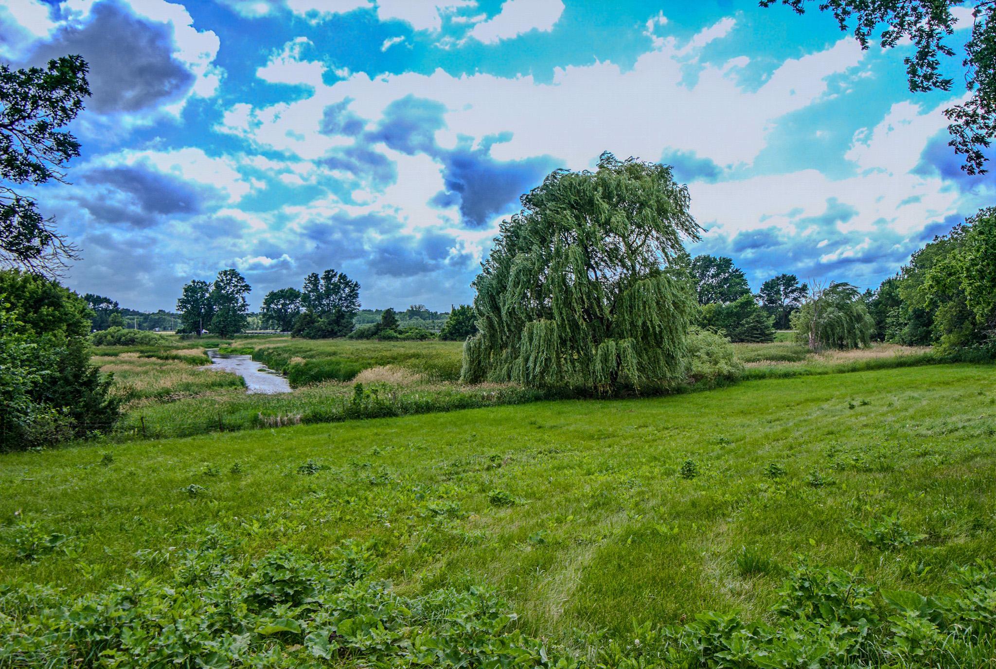 main property photo 81