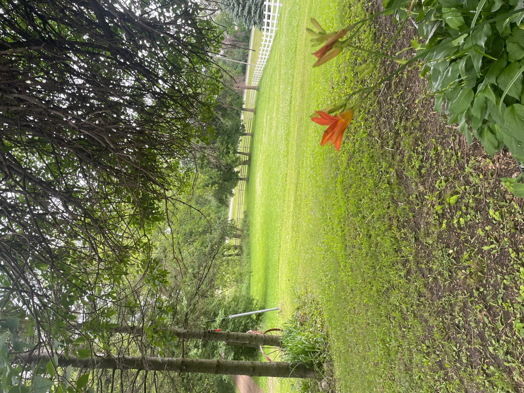 main property photo 82