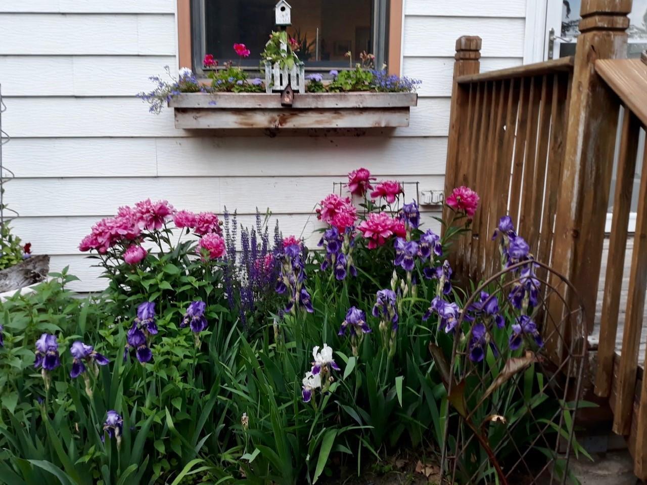 main property photo 3