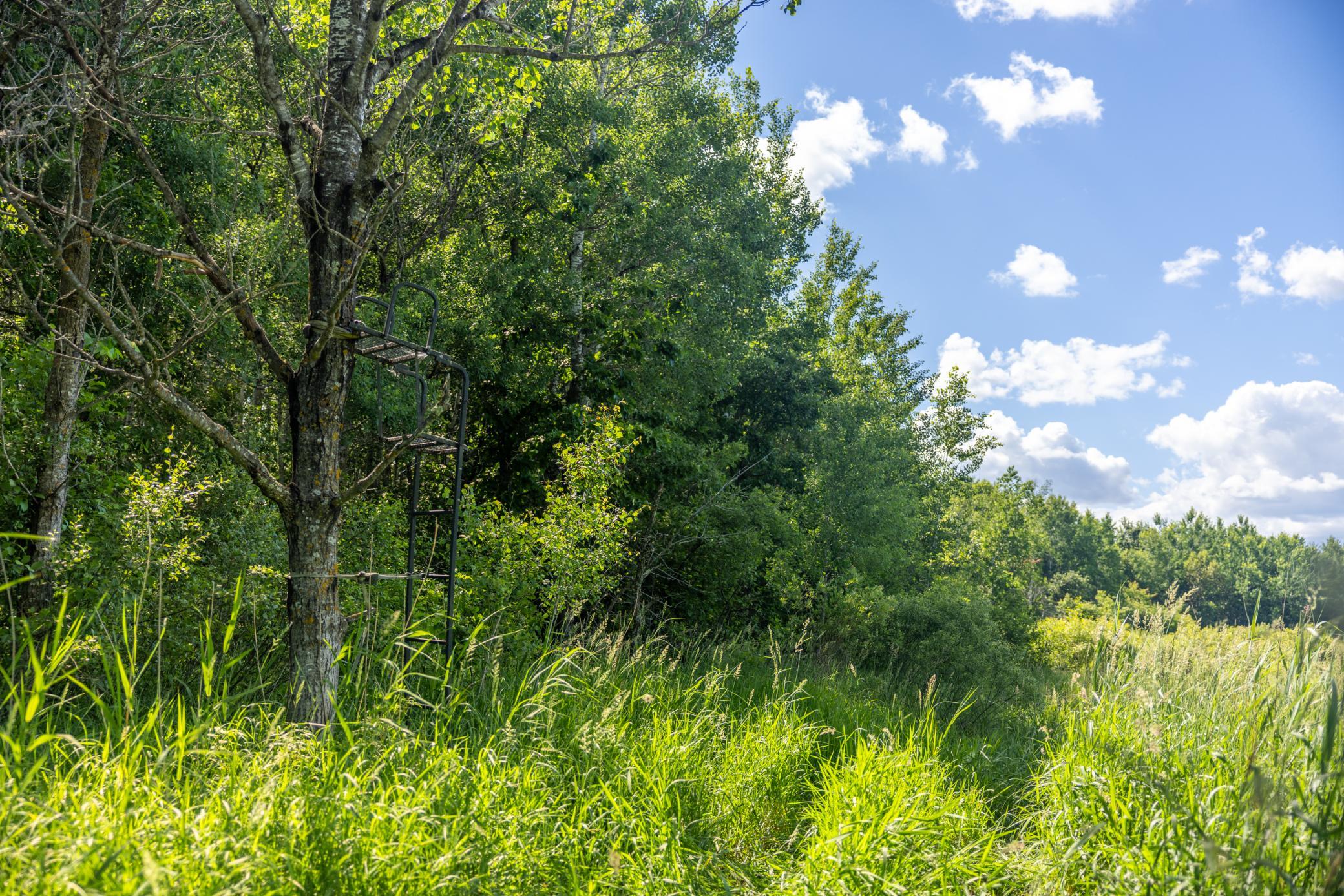 main property photo 67