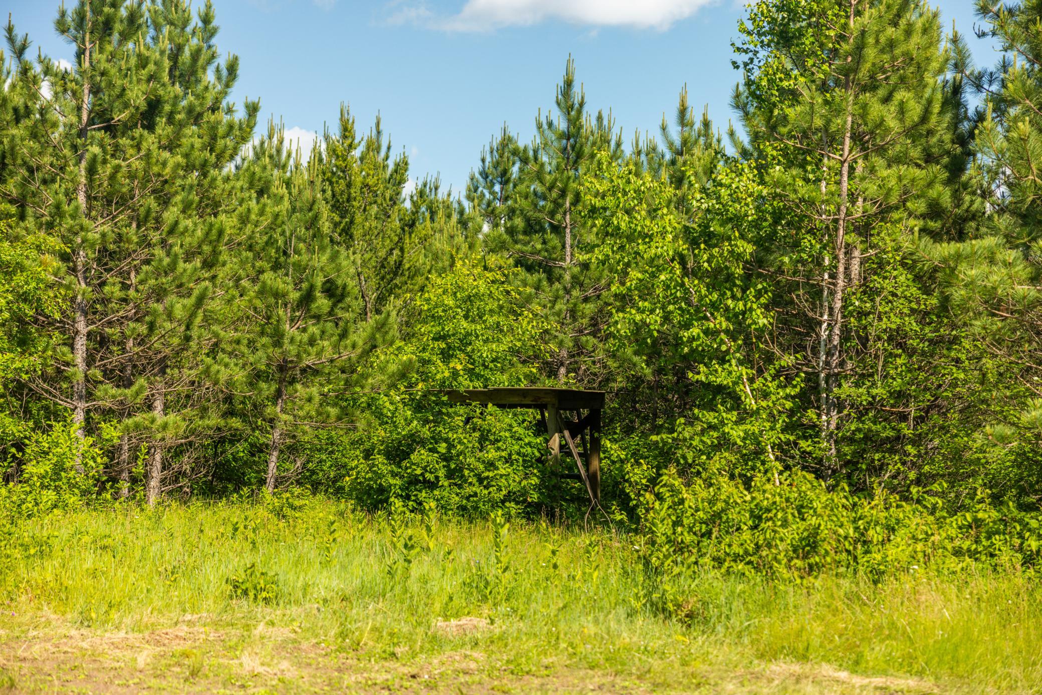 main property photo 70