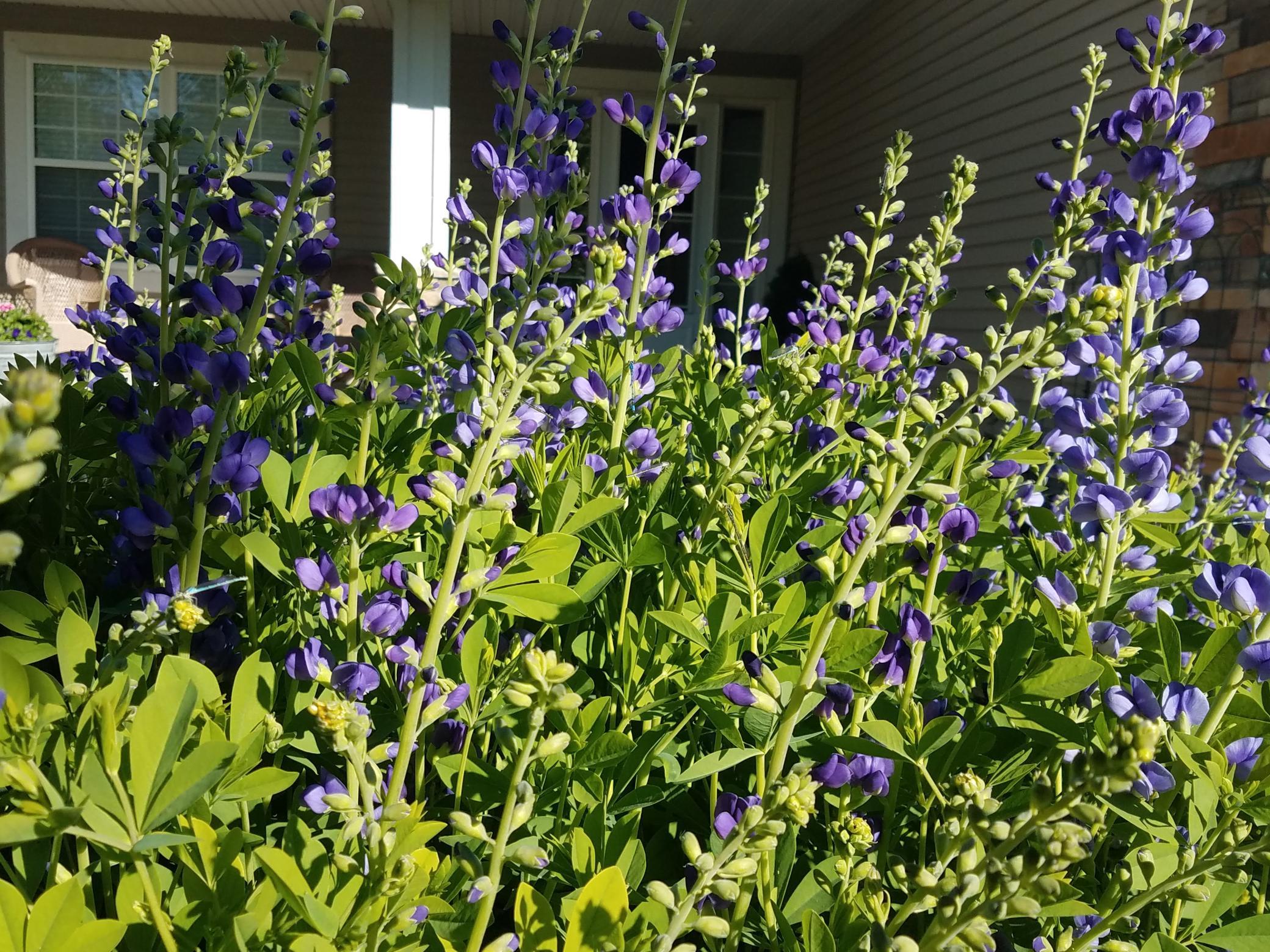 main property photo 36