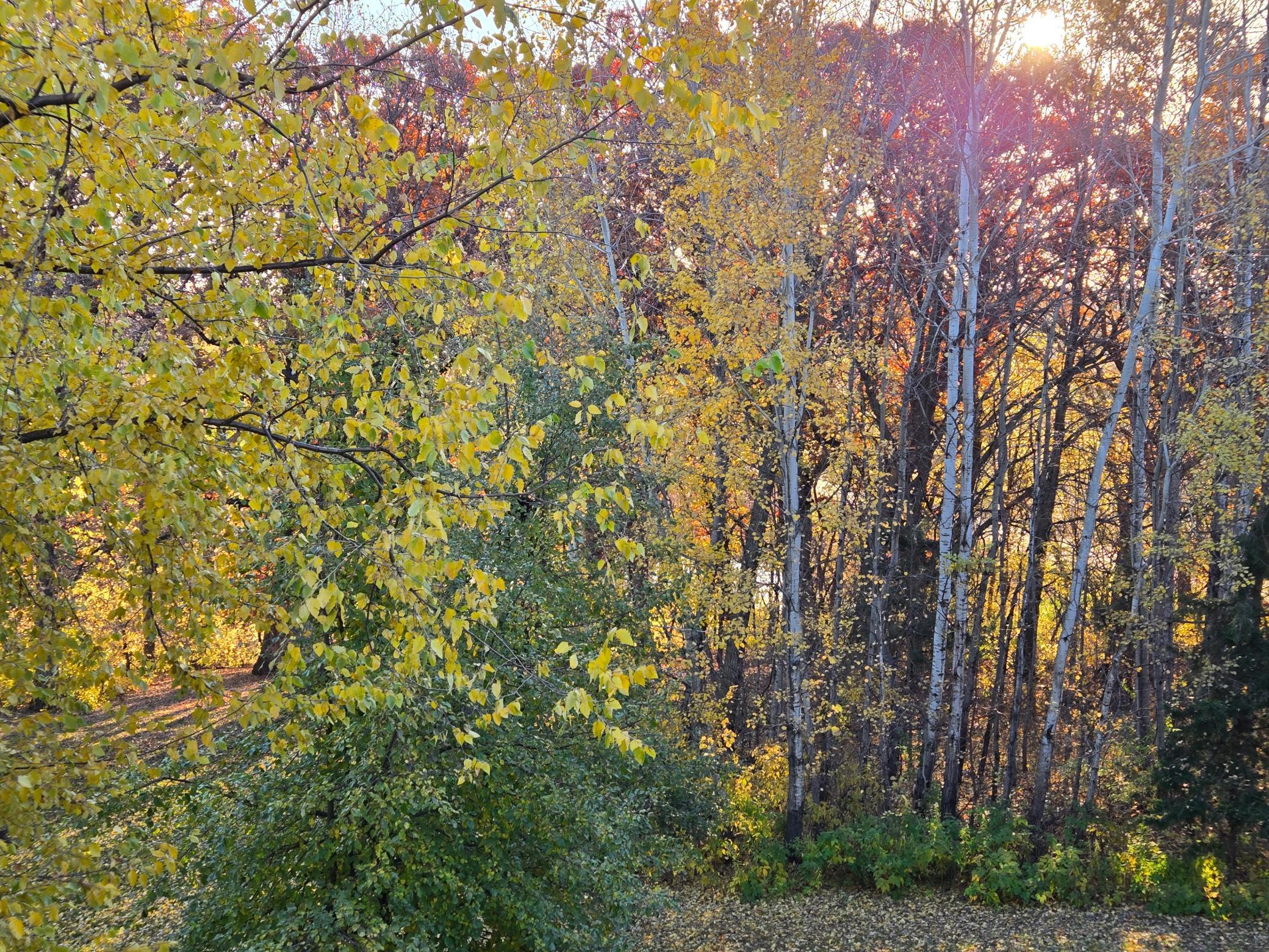 main property photo 40