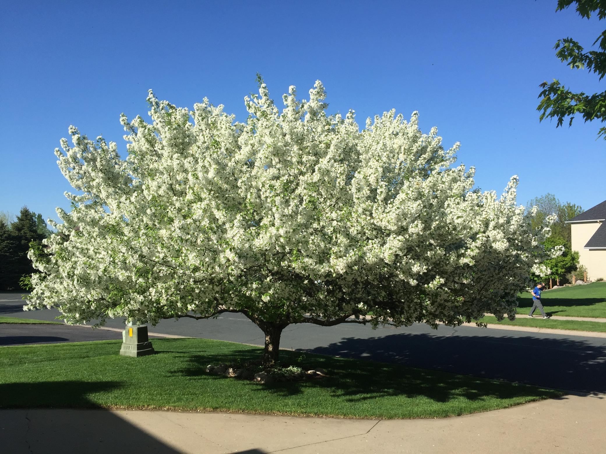 main property photo 49