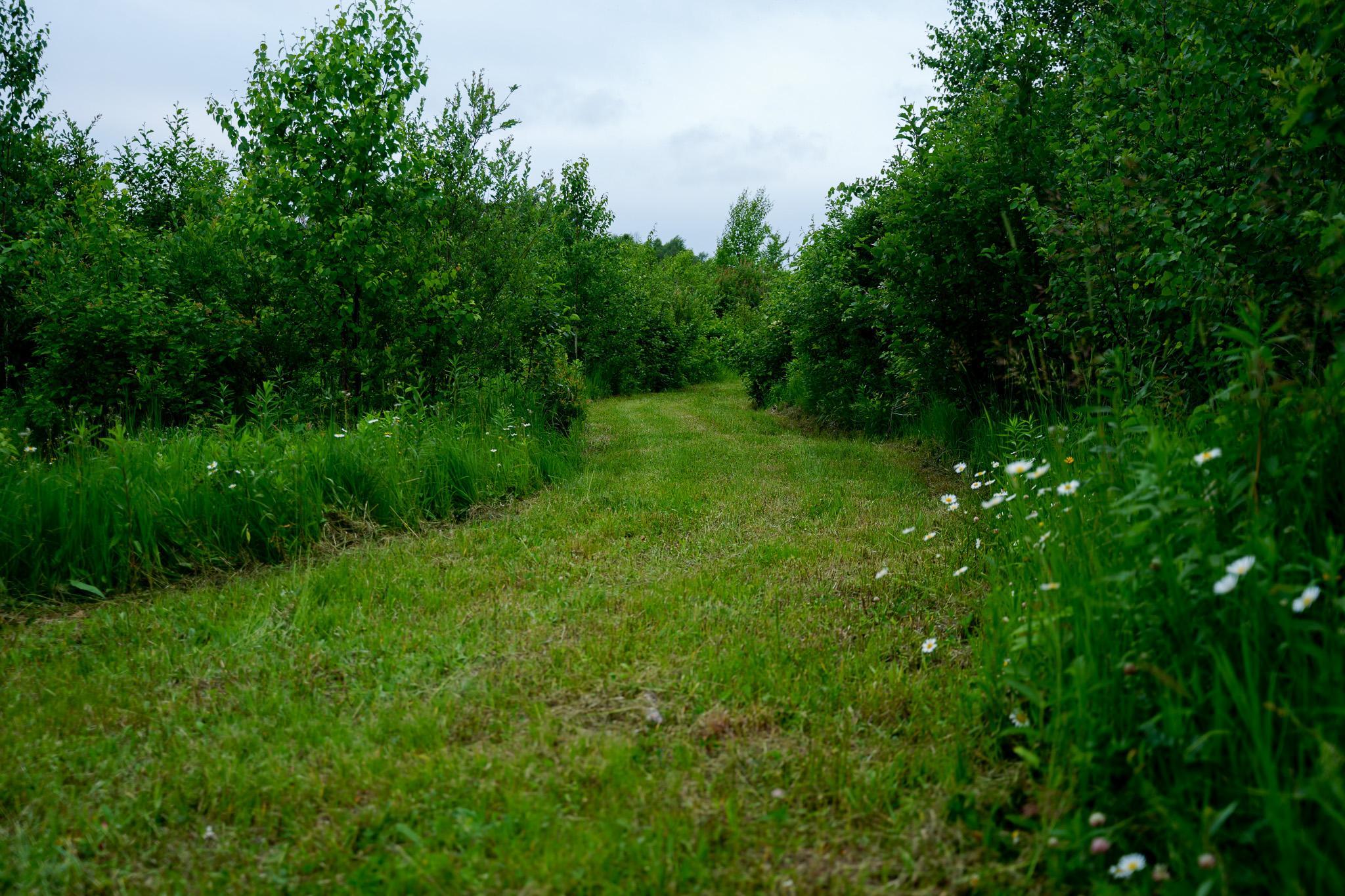 main property photo 46