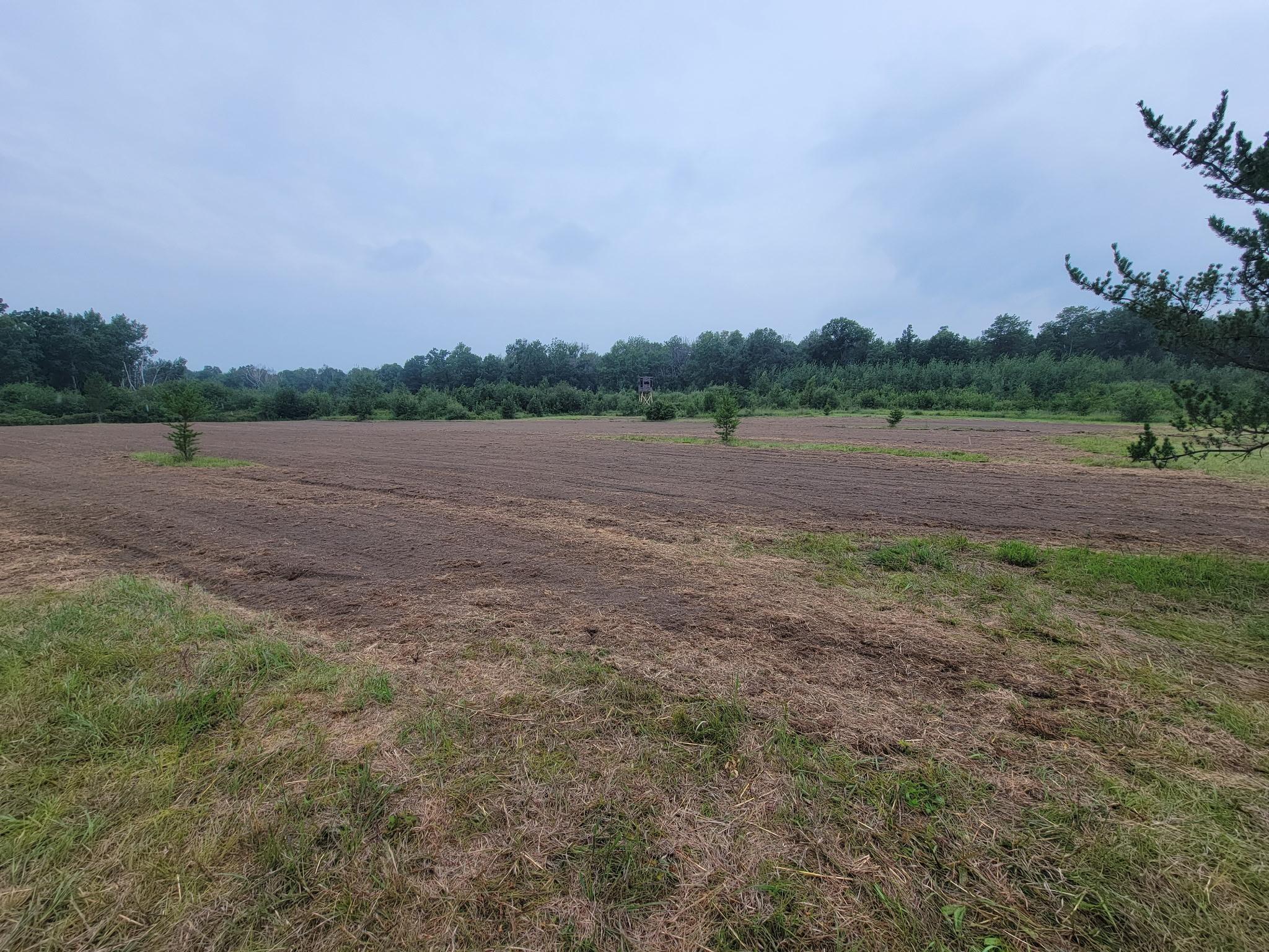 main property photo 74