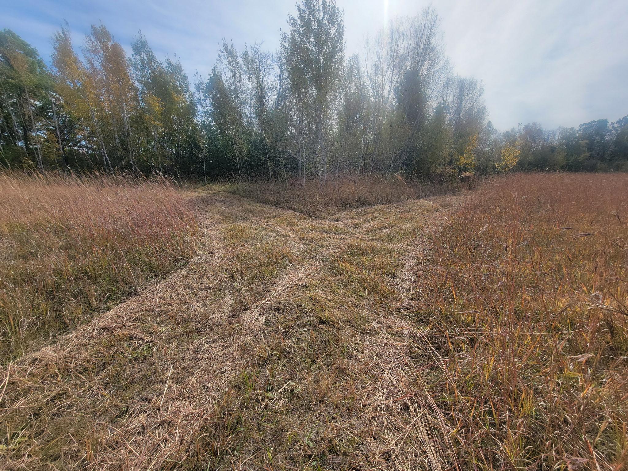 main property photo 82