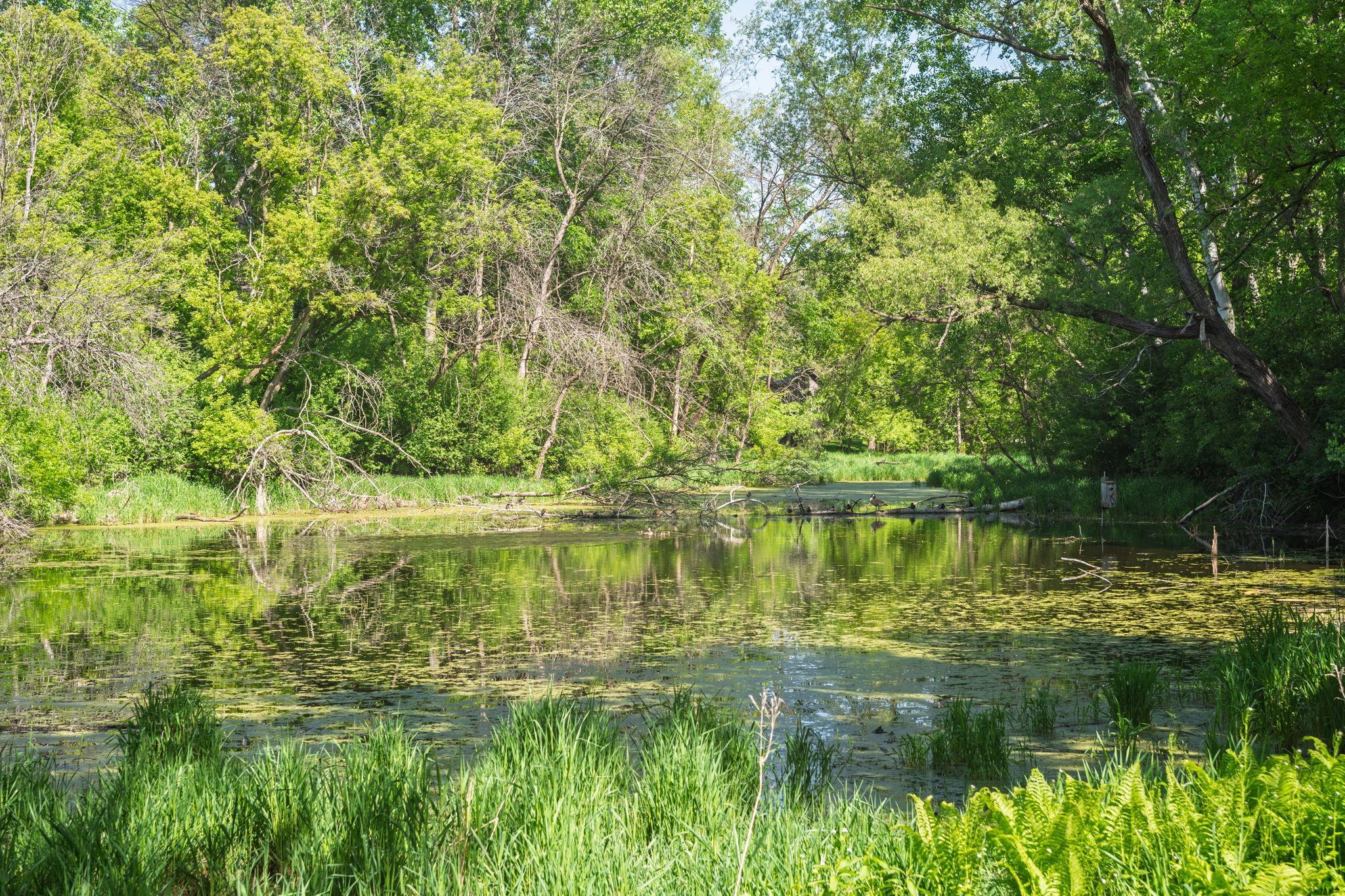 main property photo 37