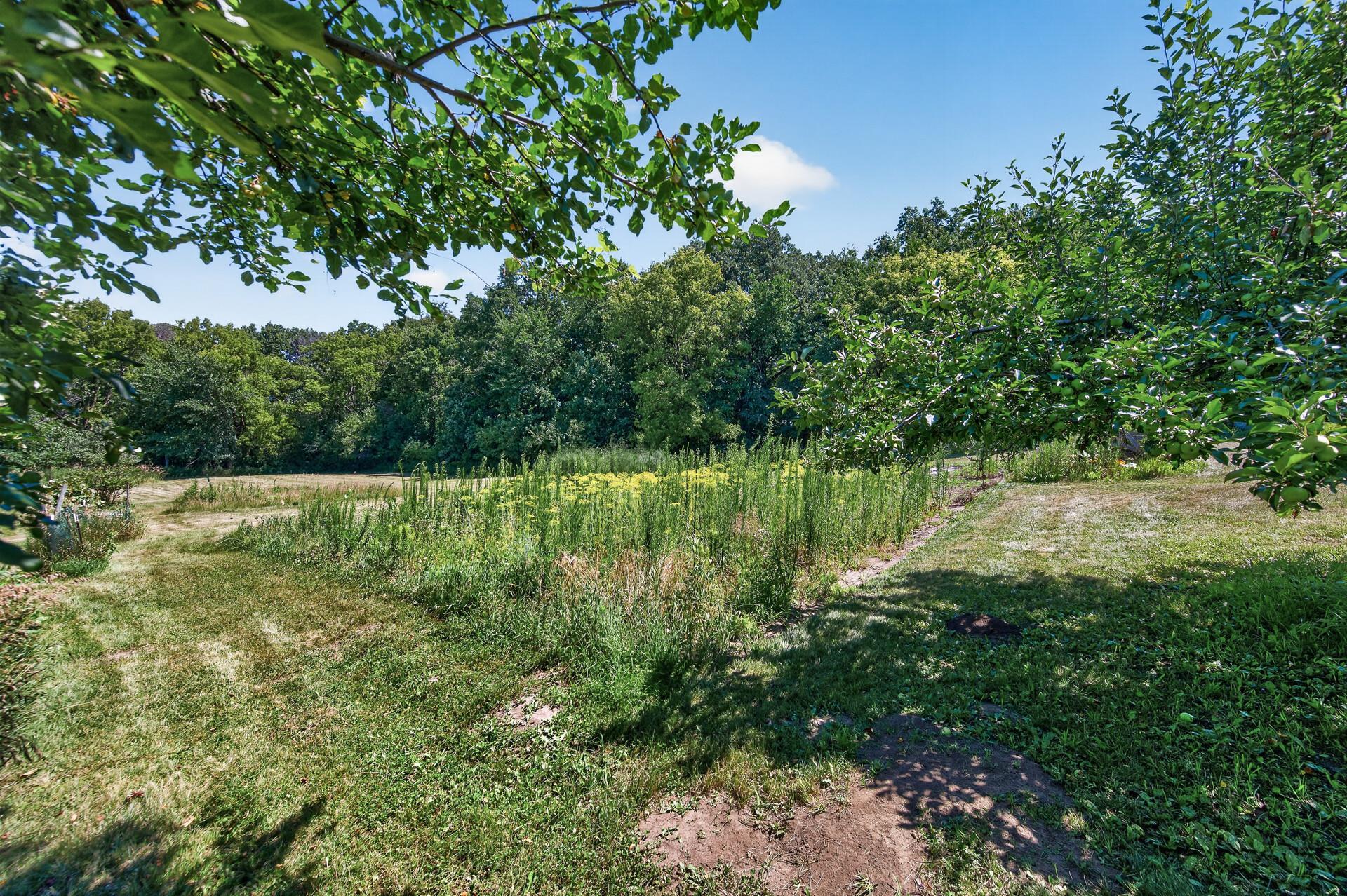 main property photo 43