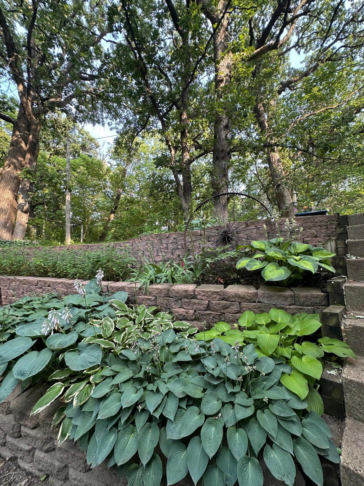 main property photo 69