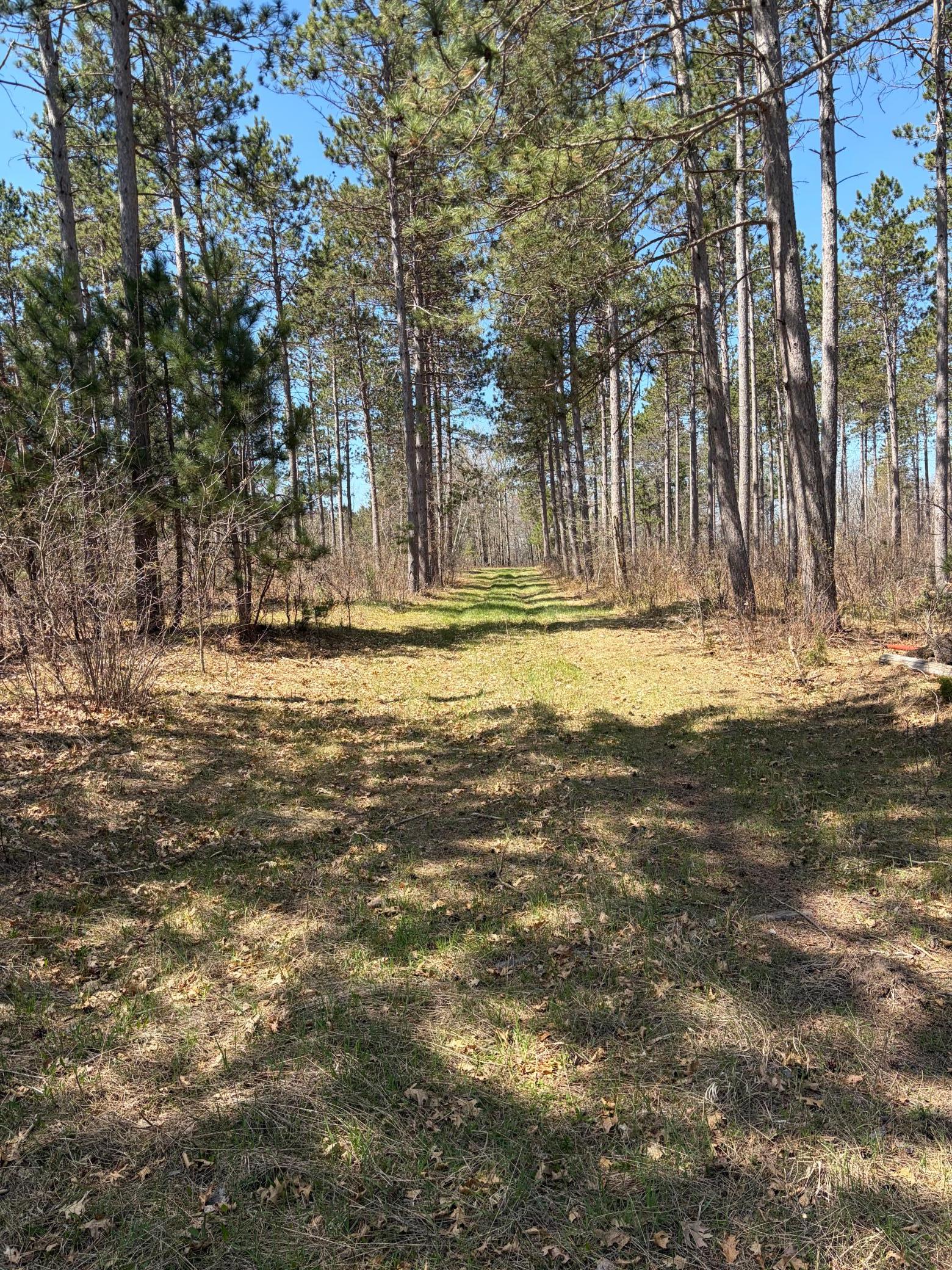 main property photo 10