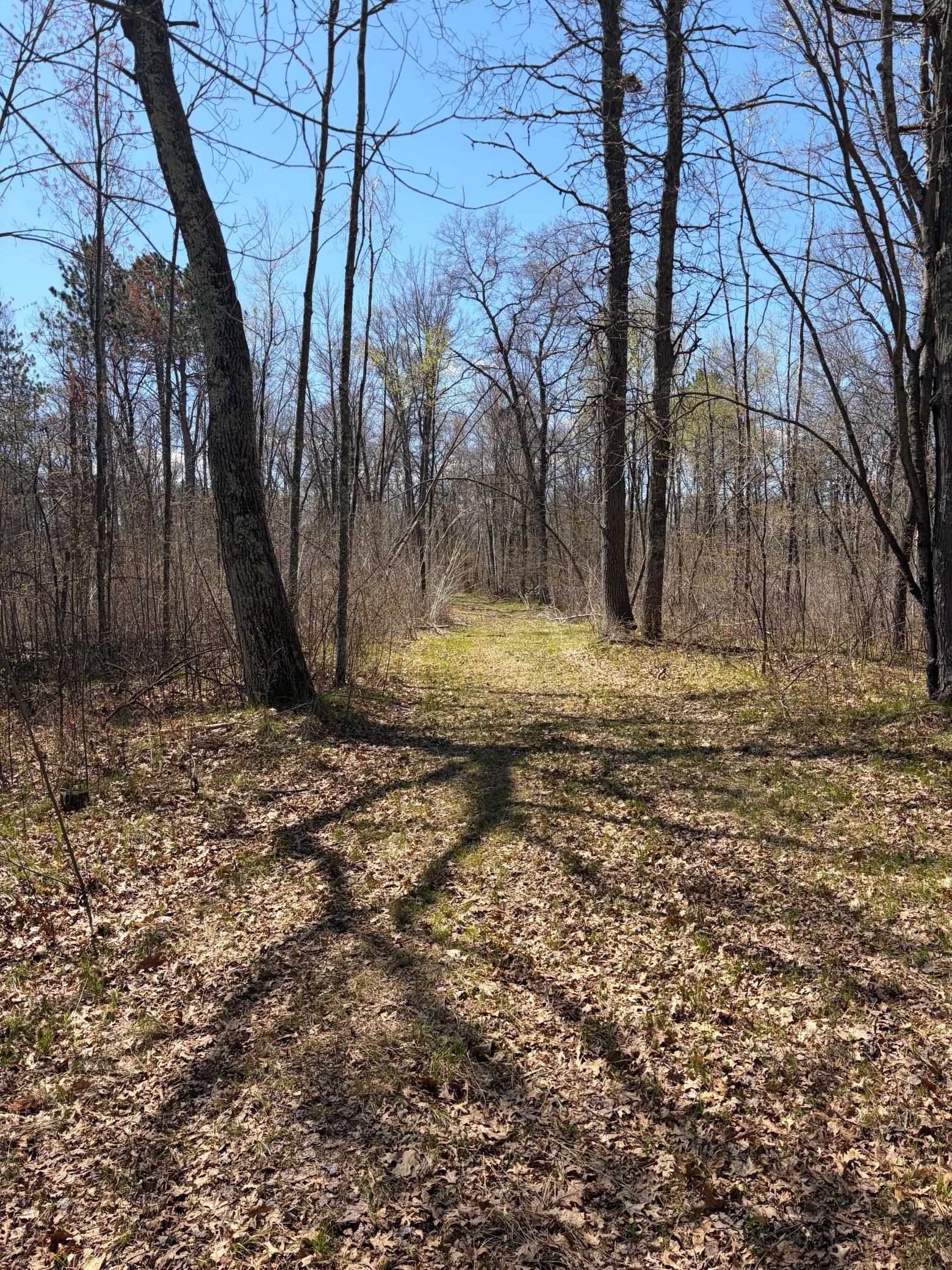 main property photo 11