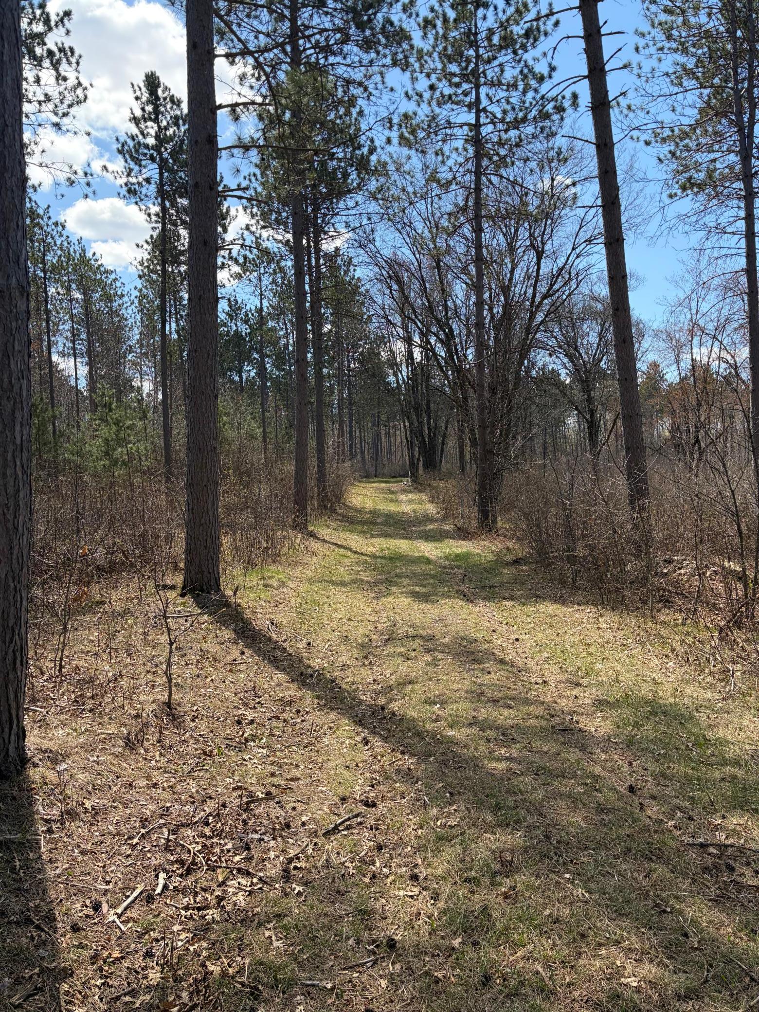 main property photo 7