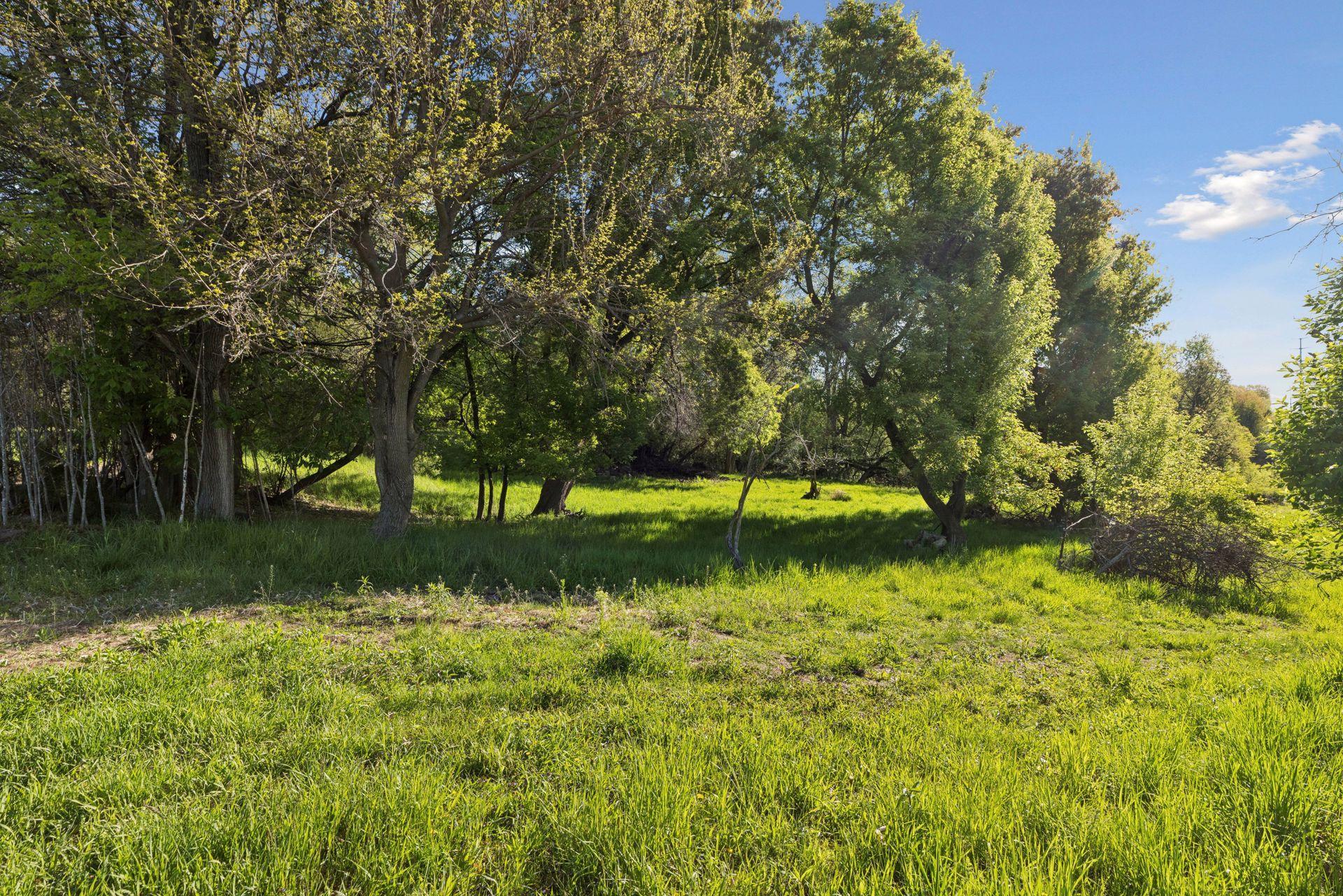 main property photo 49