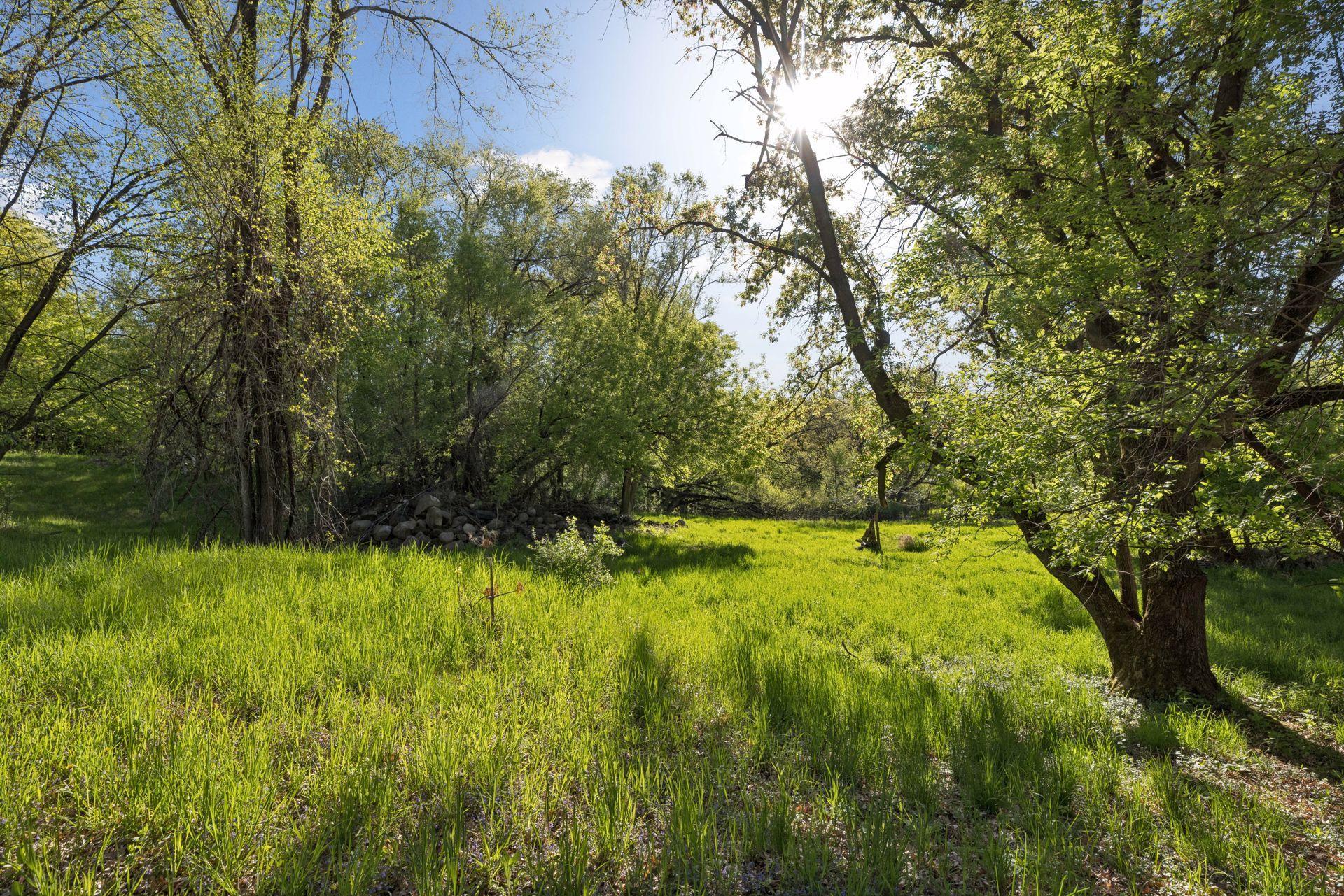 main property photo 50
