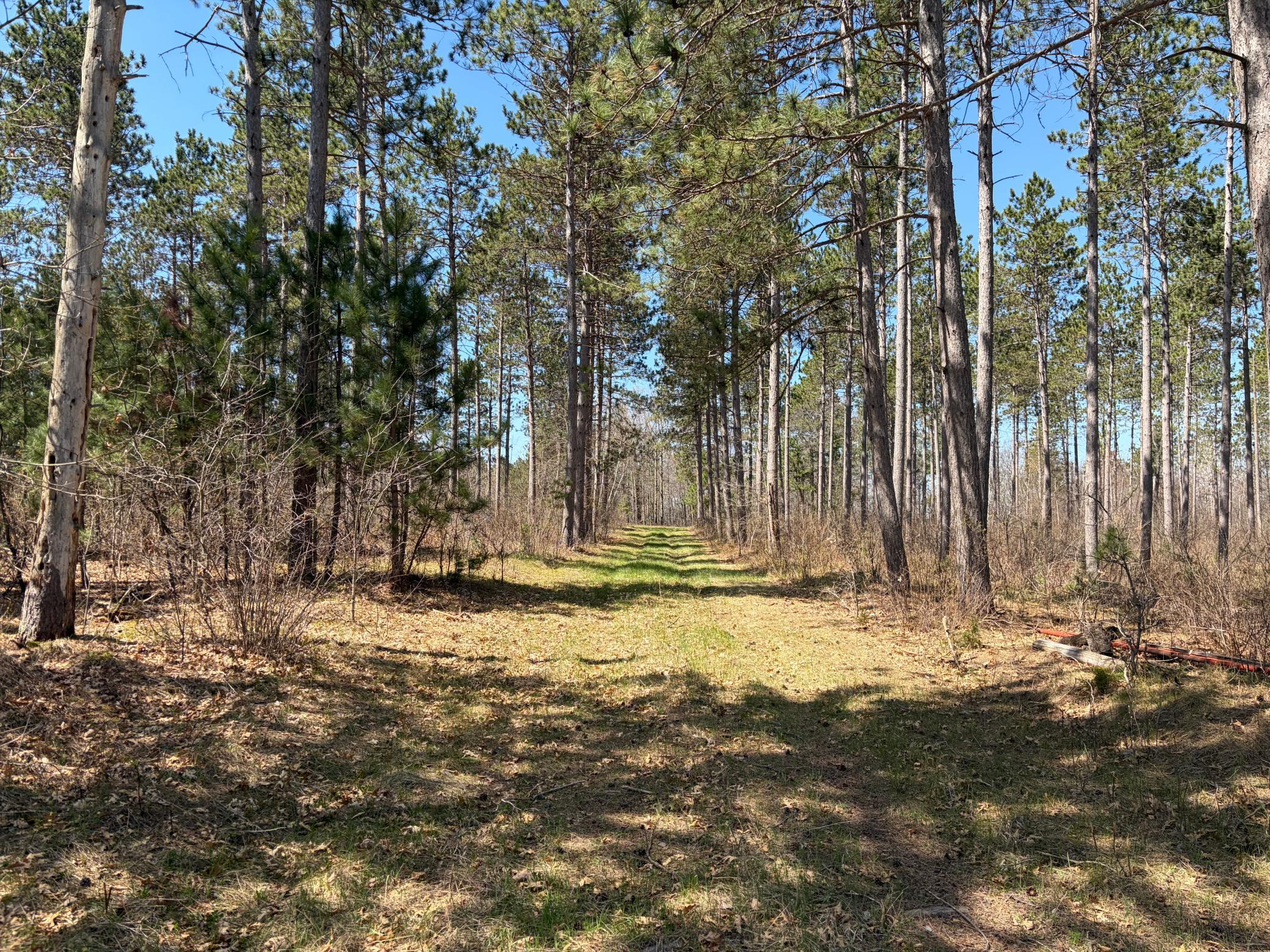 main property photo 14