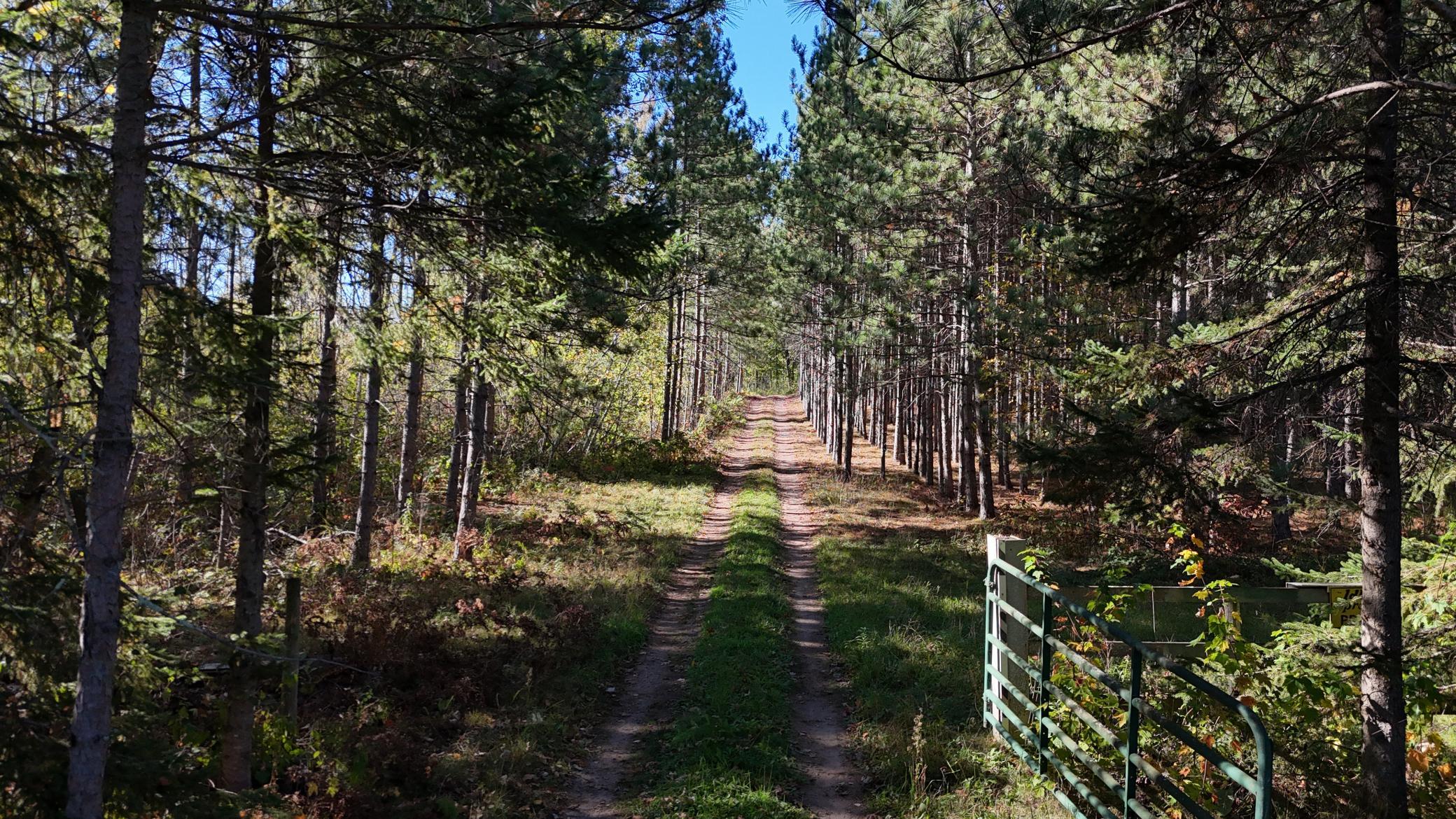 main property photo 8