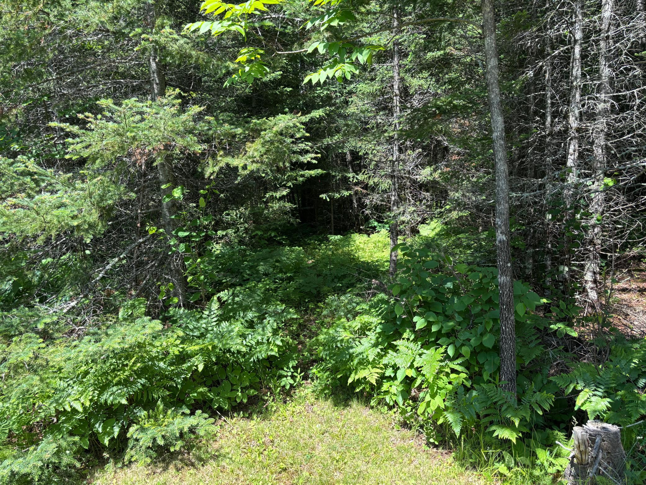 main property photo 21