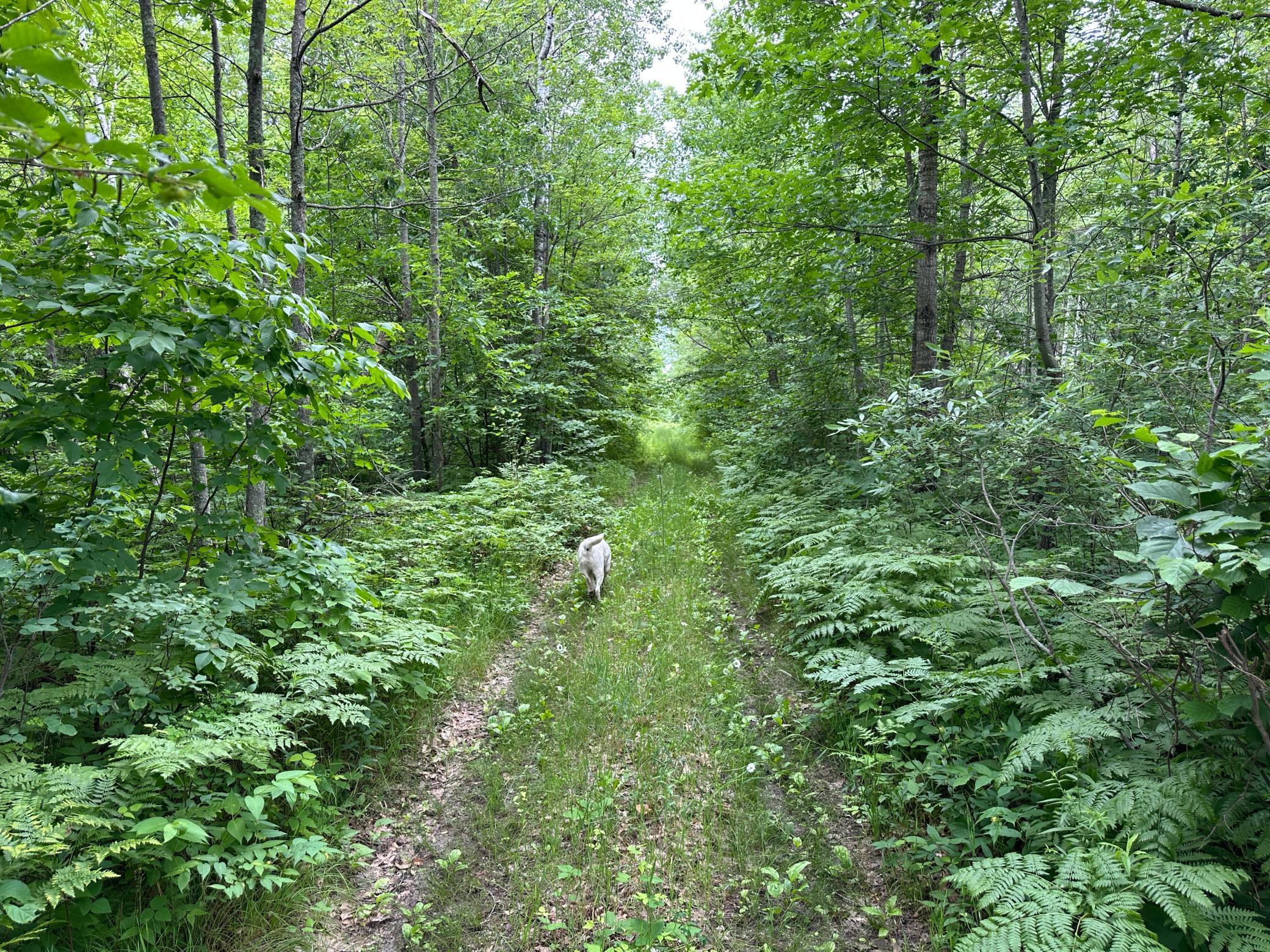 main property photo 8