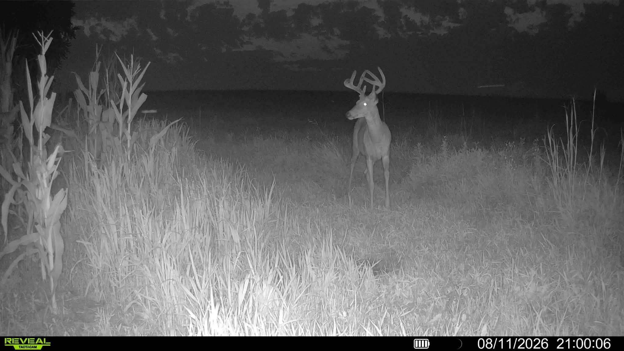 main property photo 11