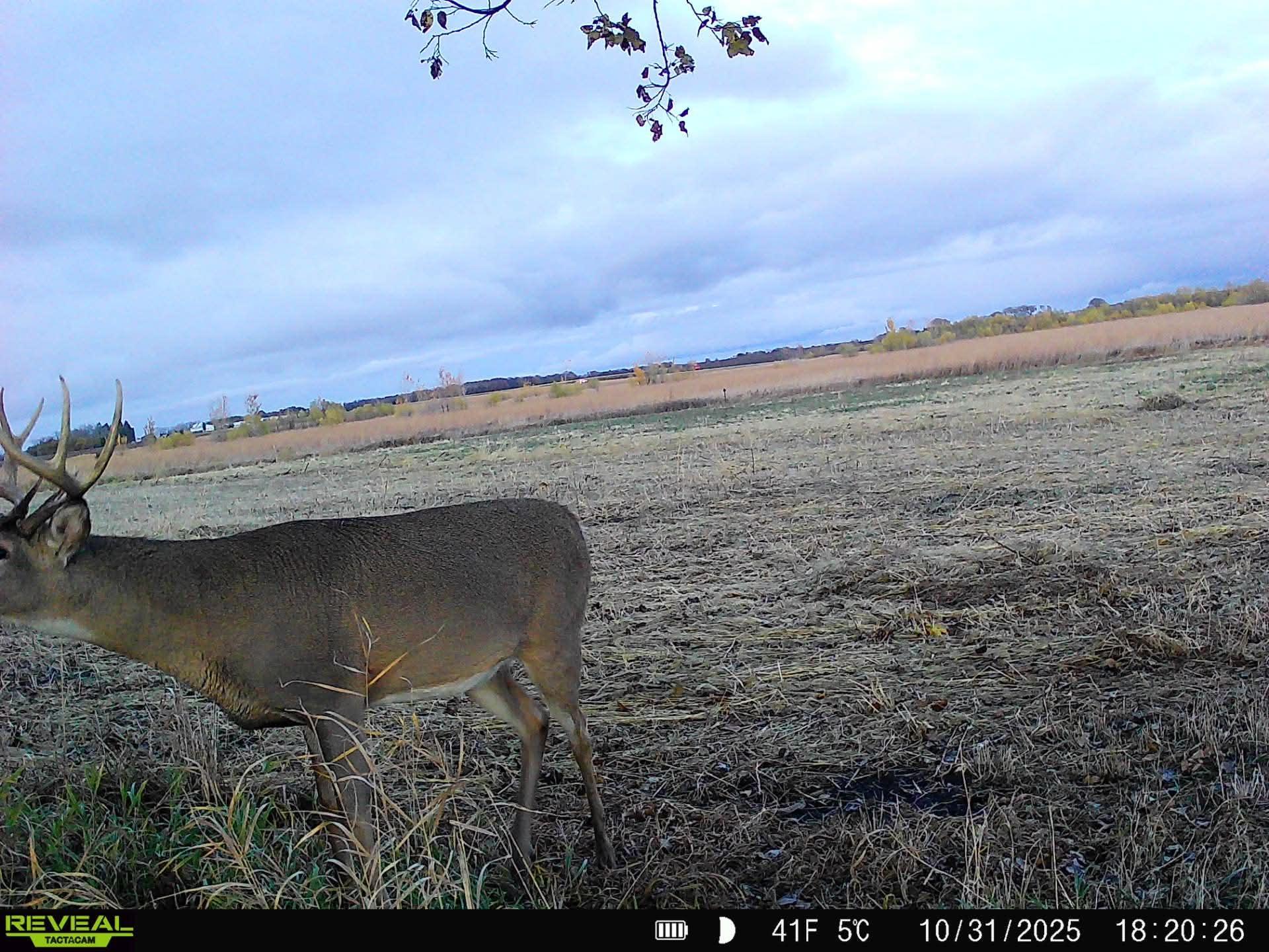 main property photo 15