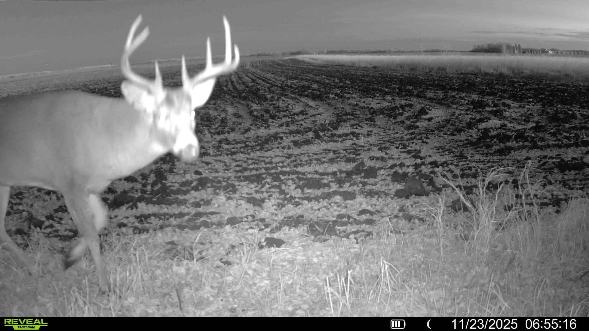 main property photo 17