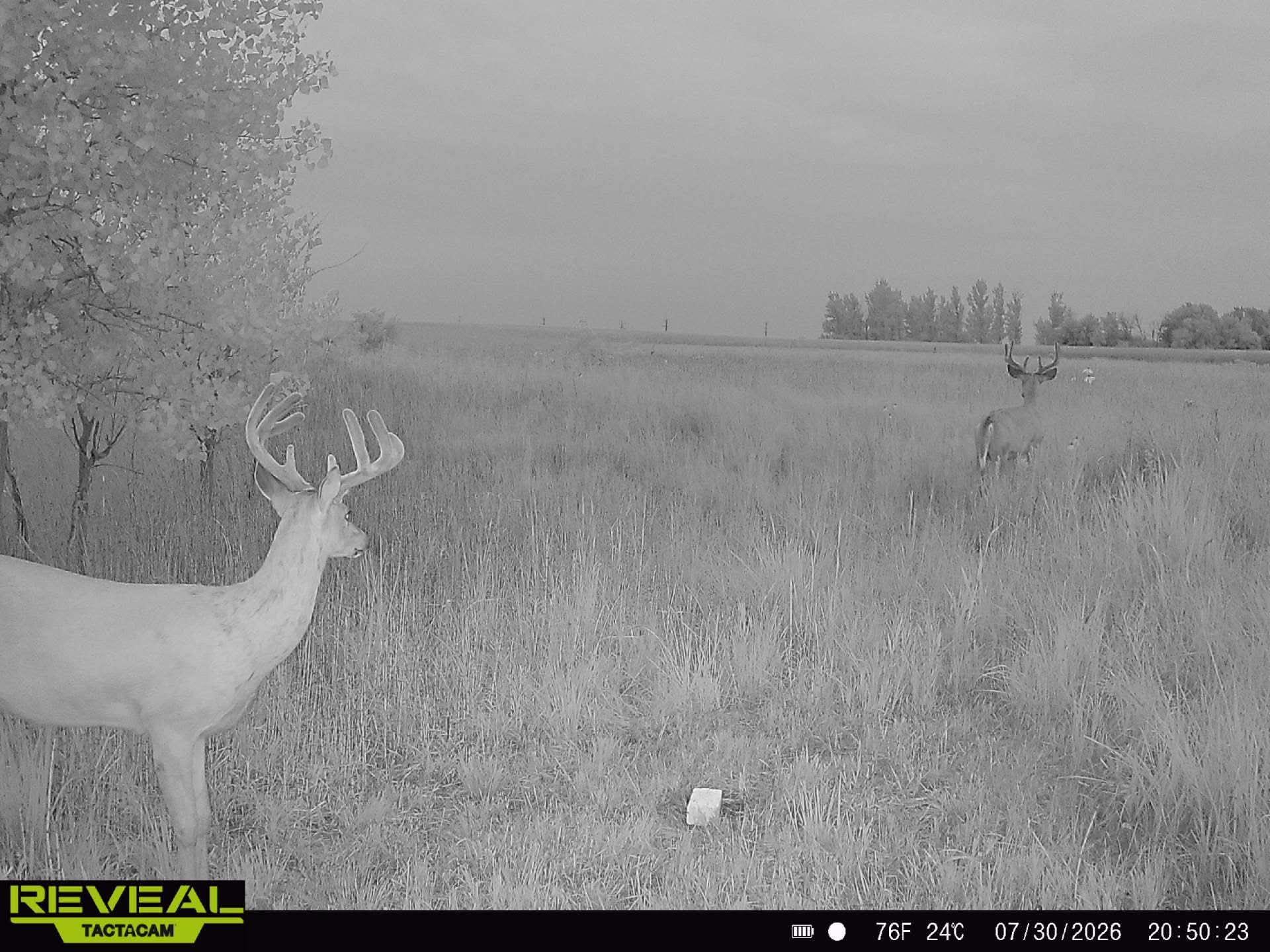 main property photo 27