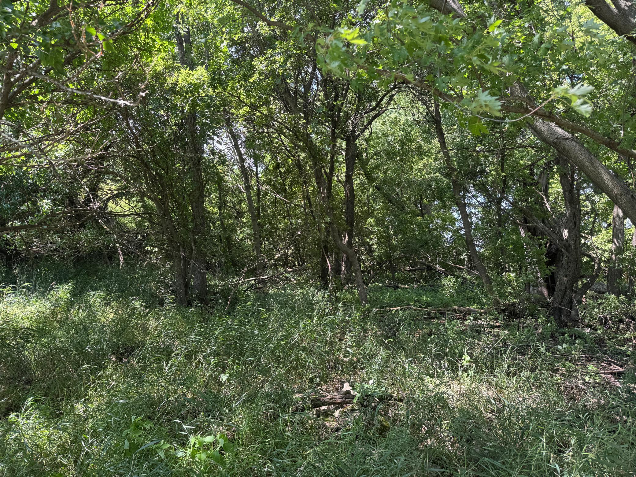 main property photo 40