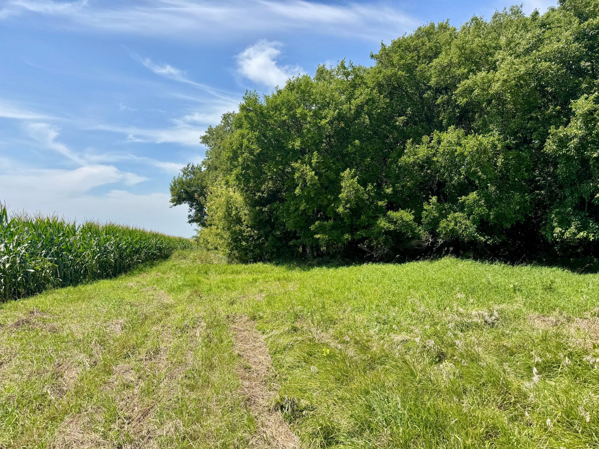 main property photo 41
