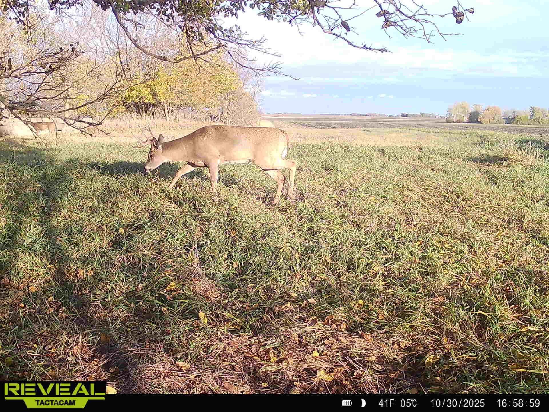 main property photo 9